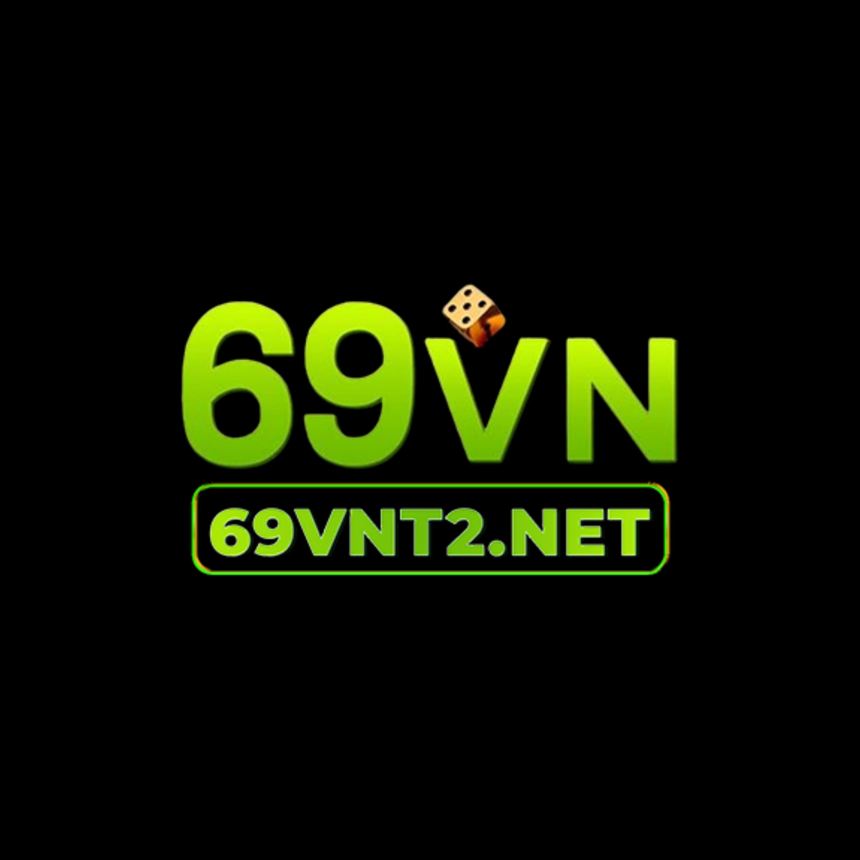 69VN