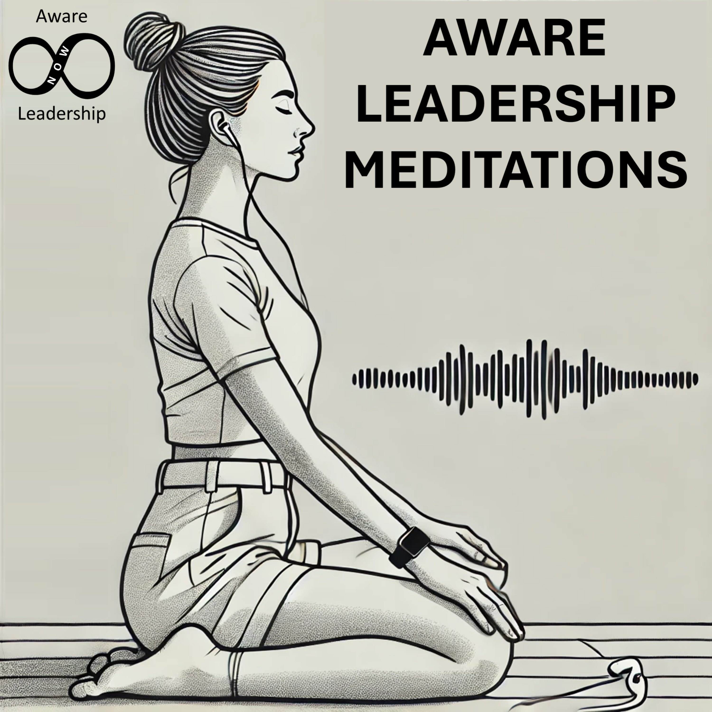 Aware Leadership Meditations