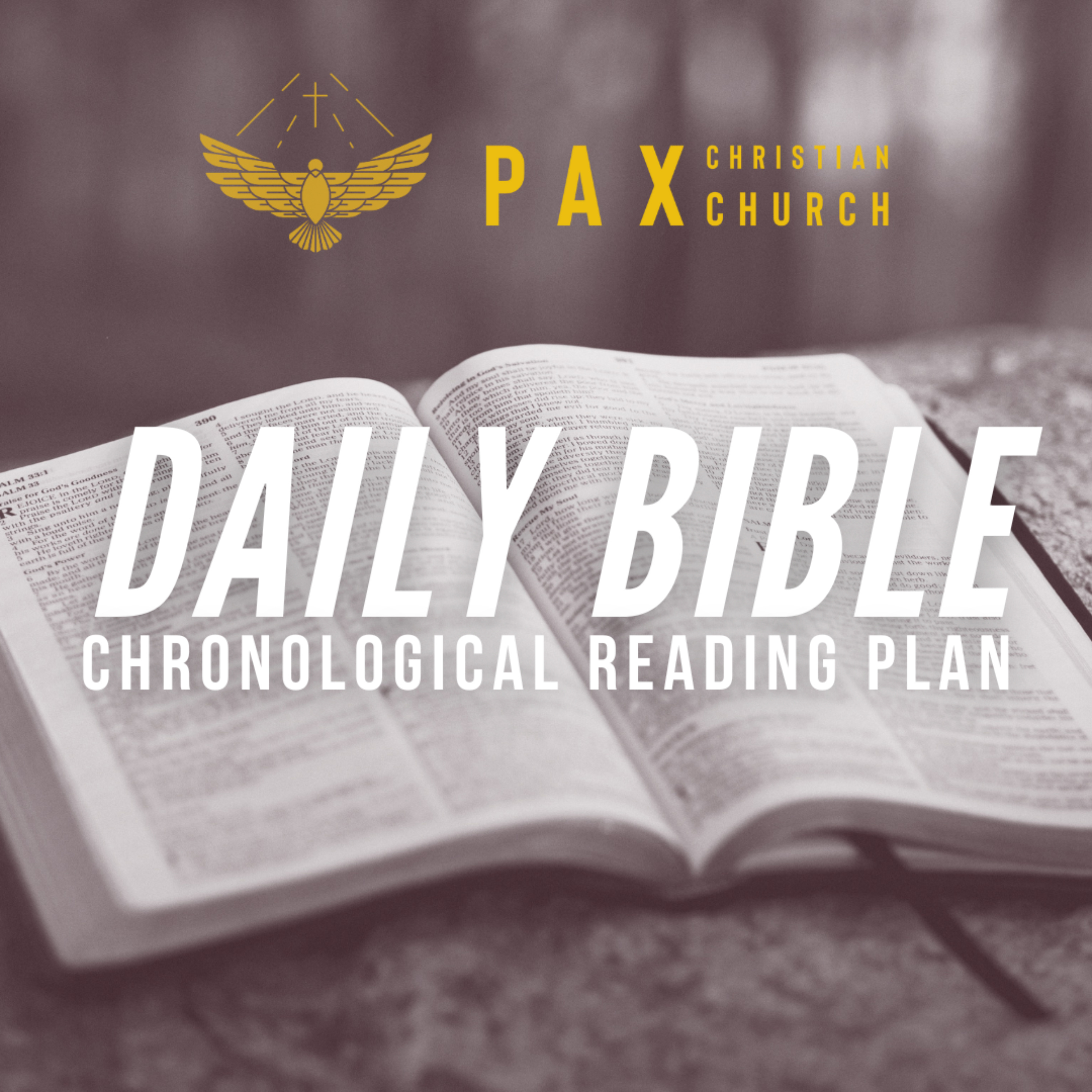 PAX Christian Church: Bible in a Year (Chronological) podcast artwork