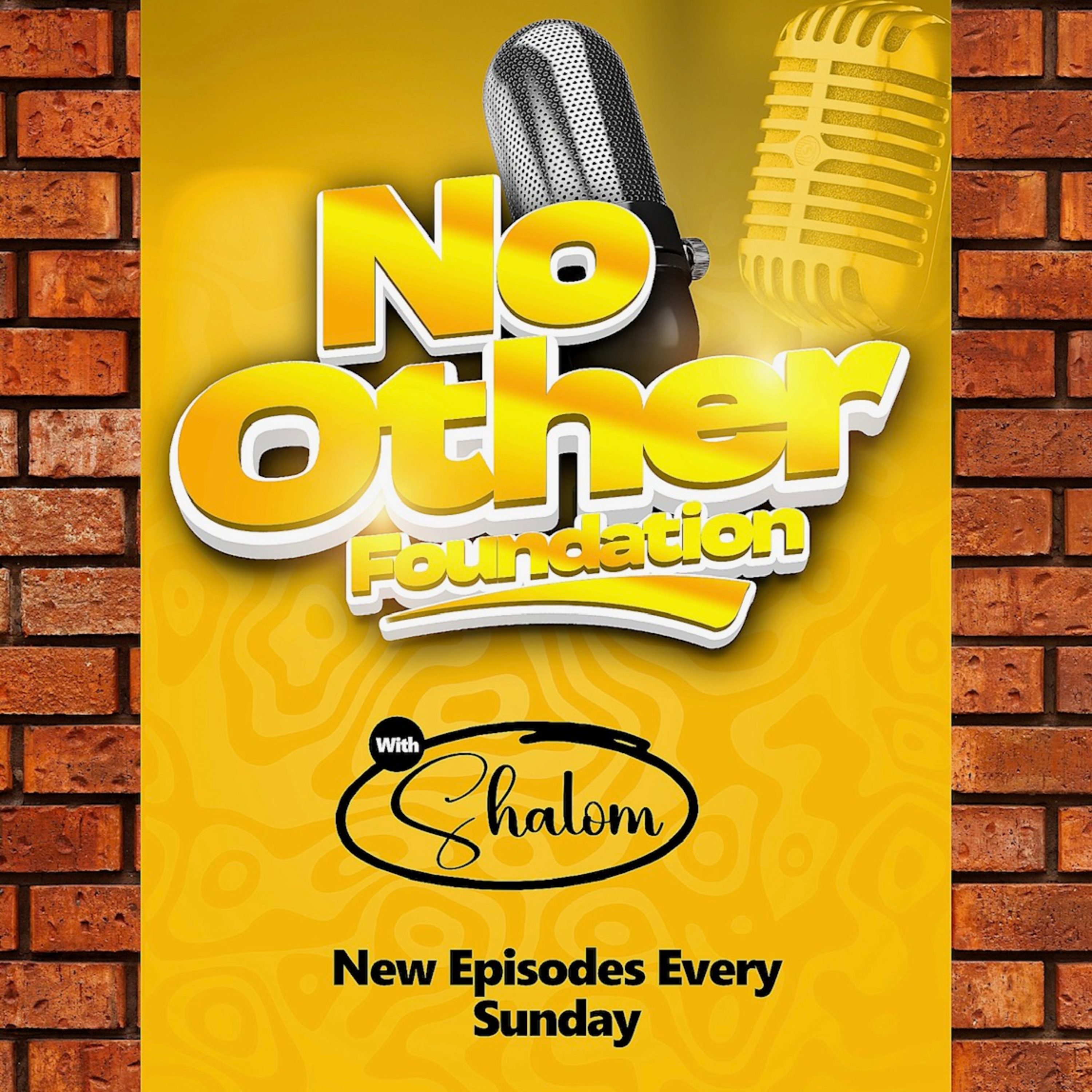No Other Foundation podcast artwork