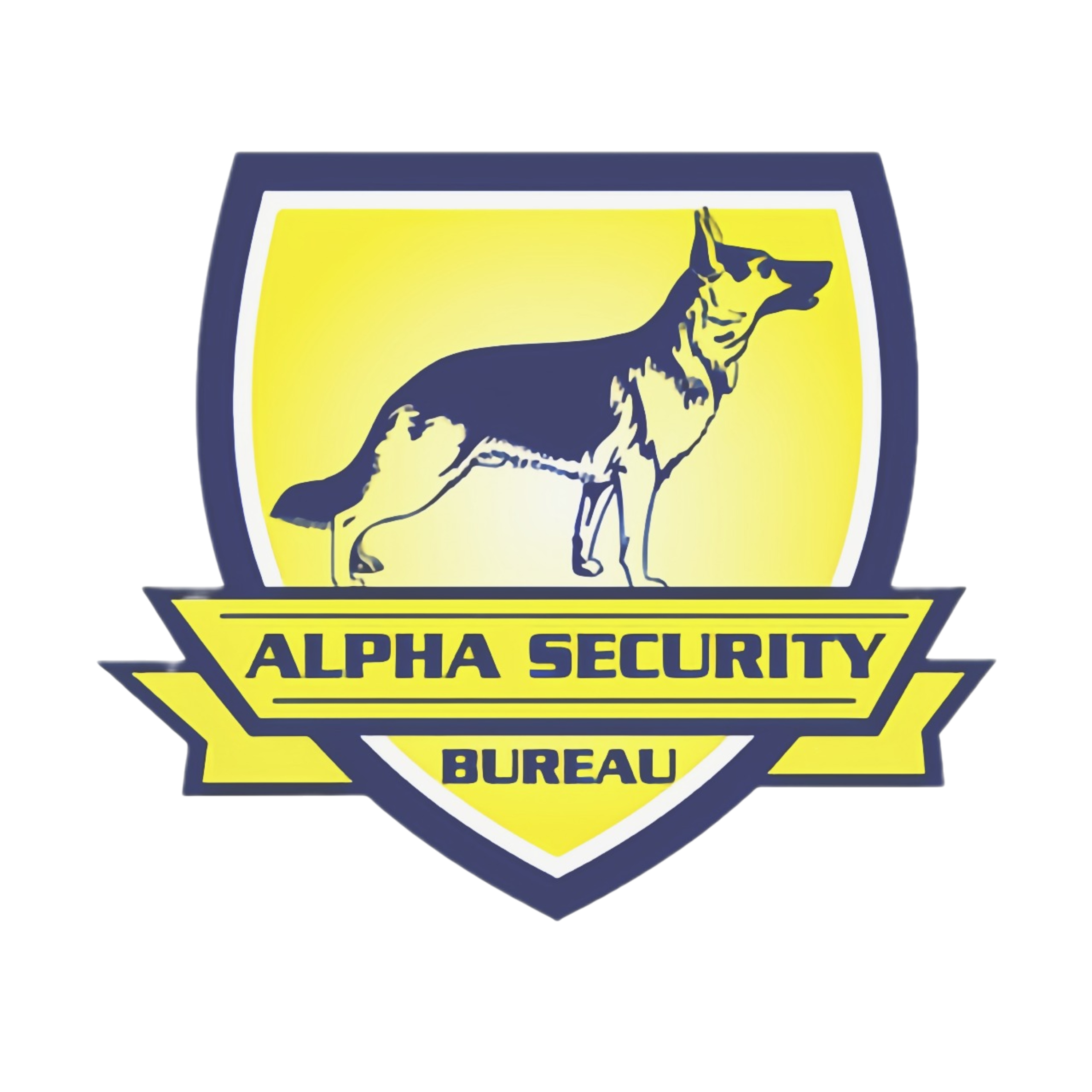 Security Insights USA podcast artwork