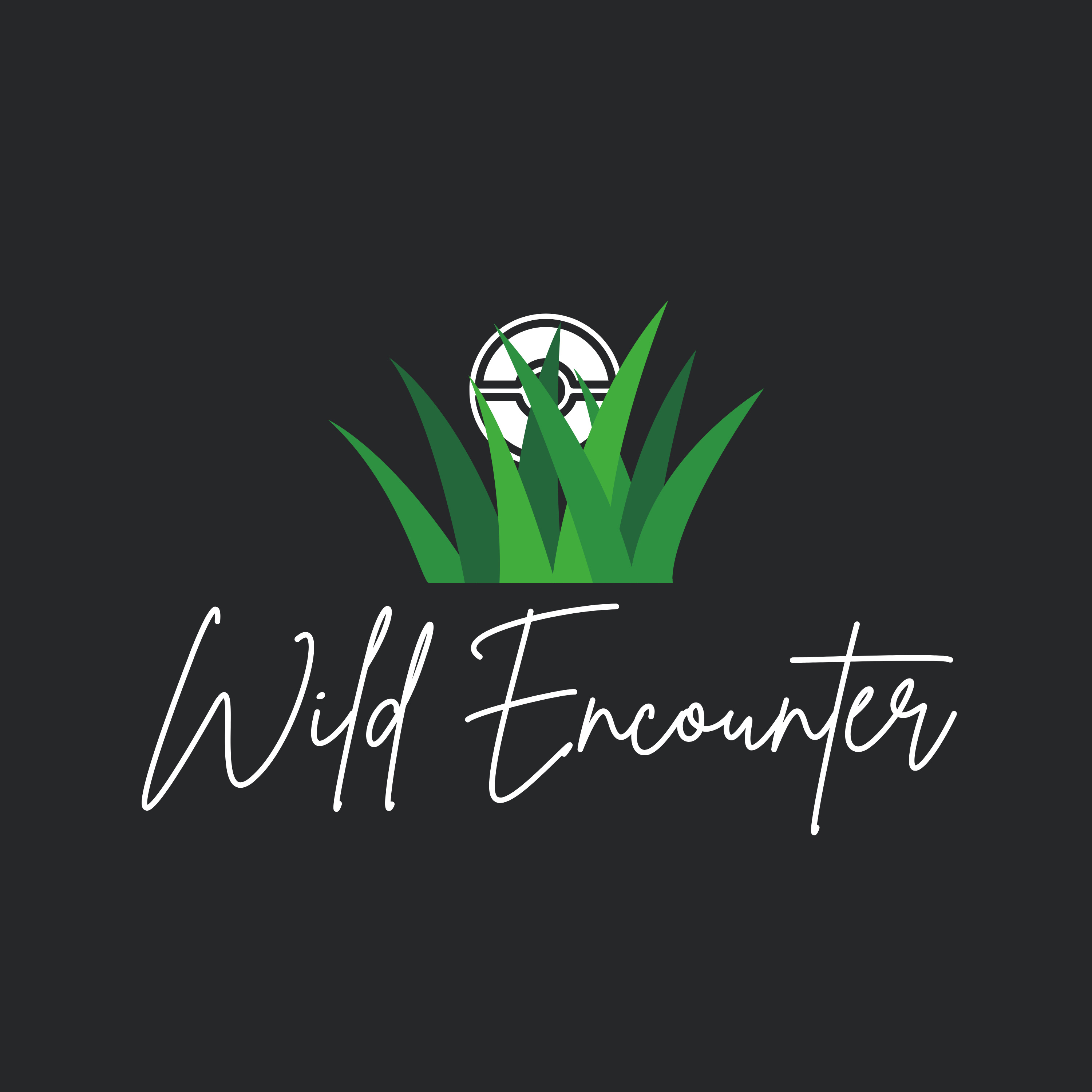 Wild Encounter