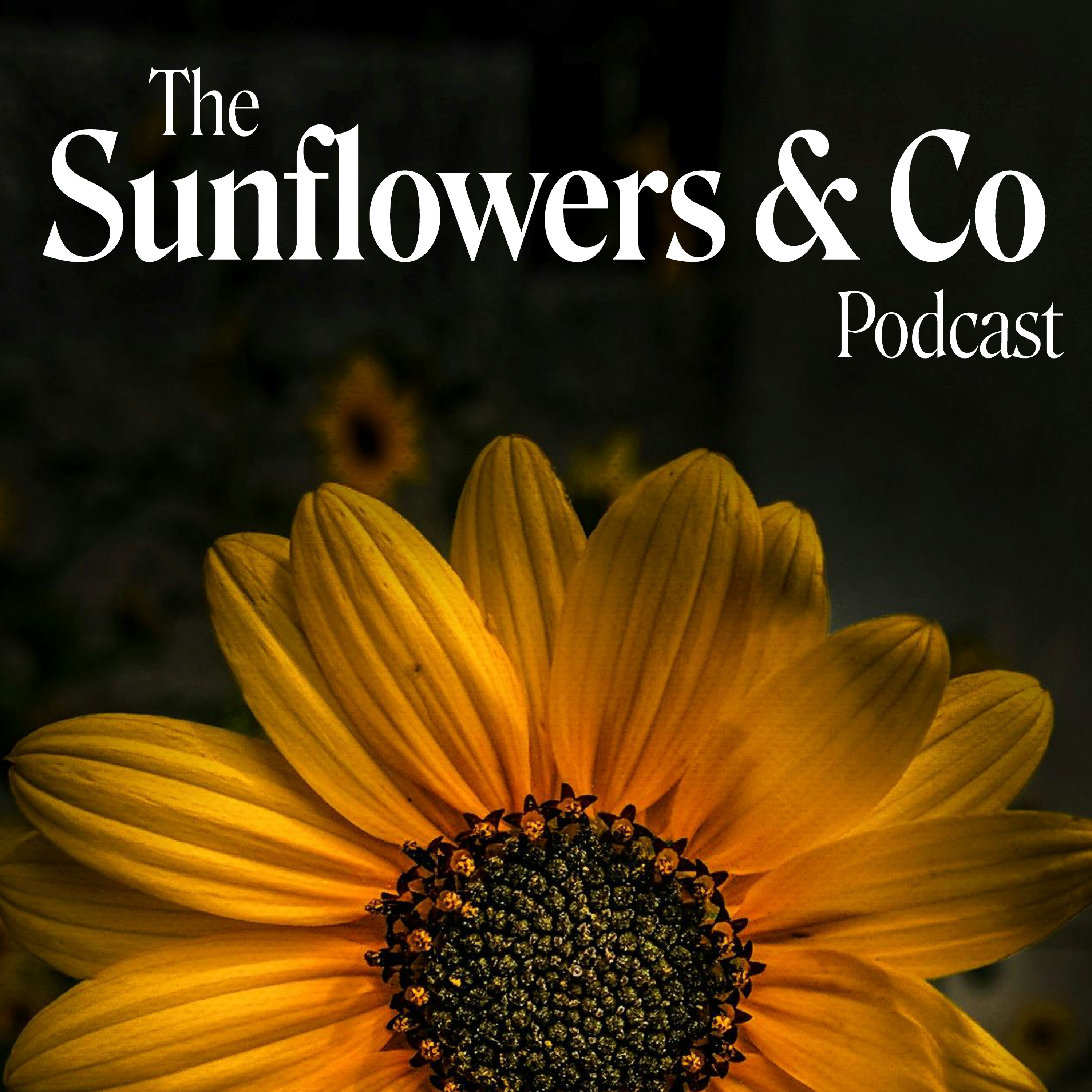 Sunflowers and Co