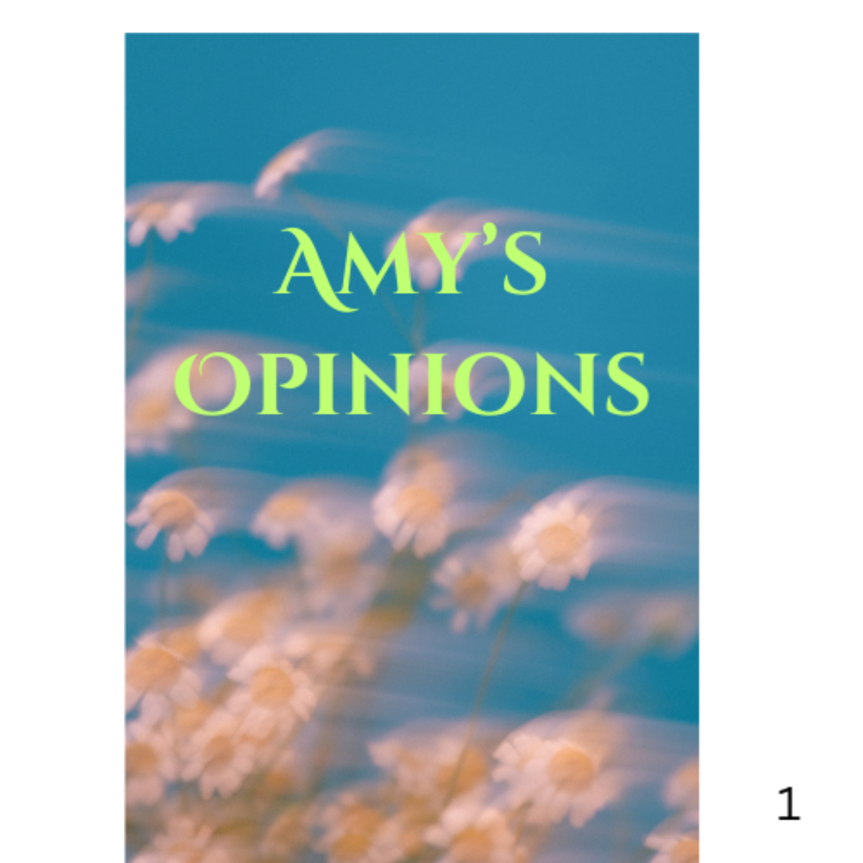 Amy\'s Opinions
