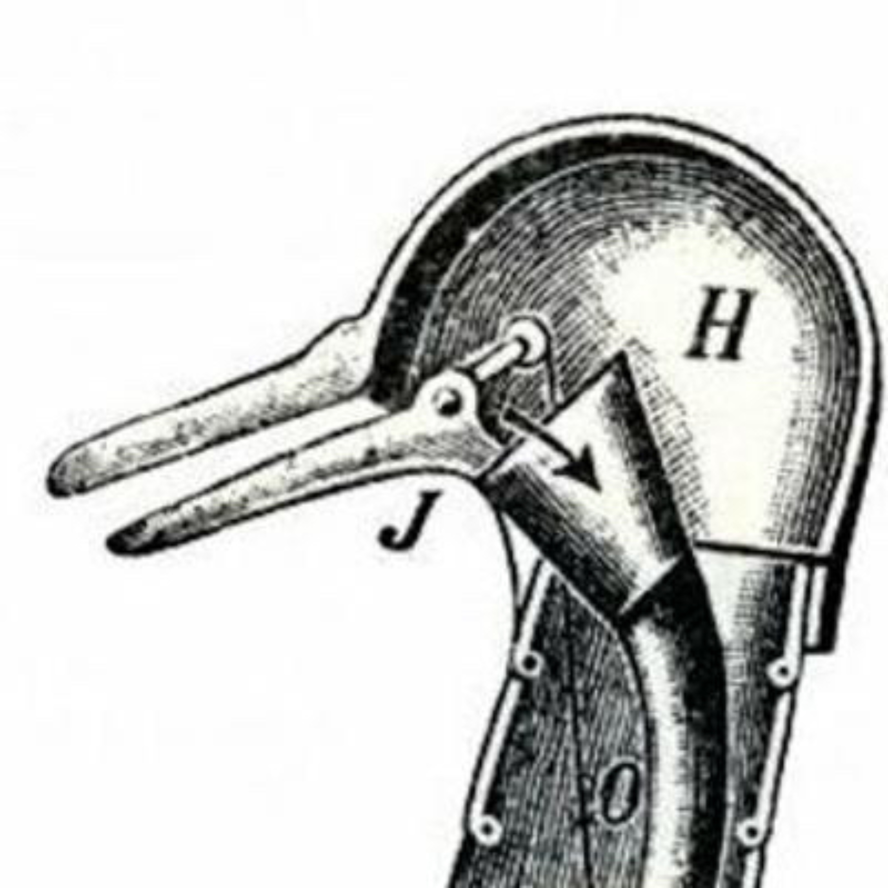 Poetic Device
