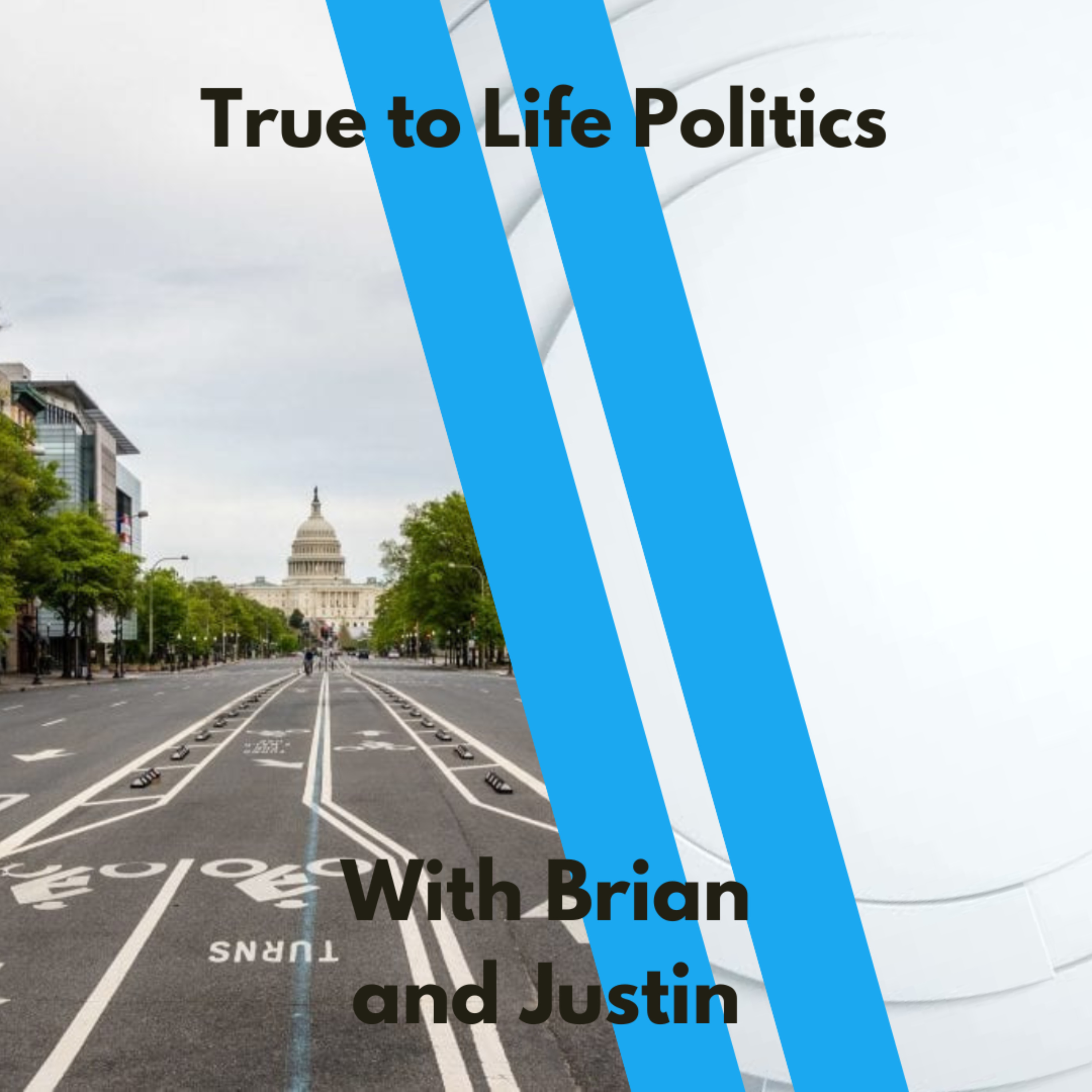 True to Life Politics podcast artwork