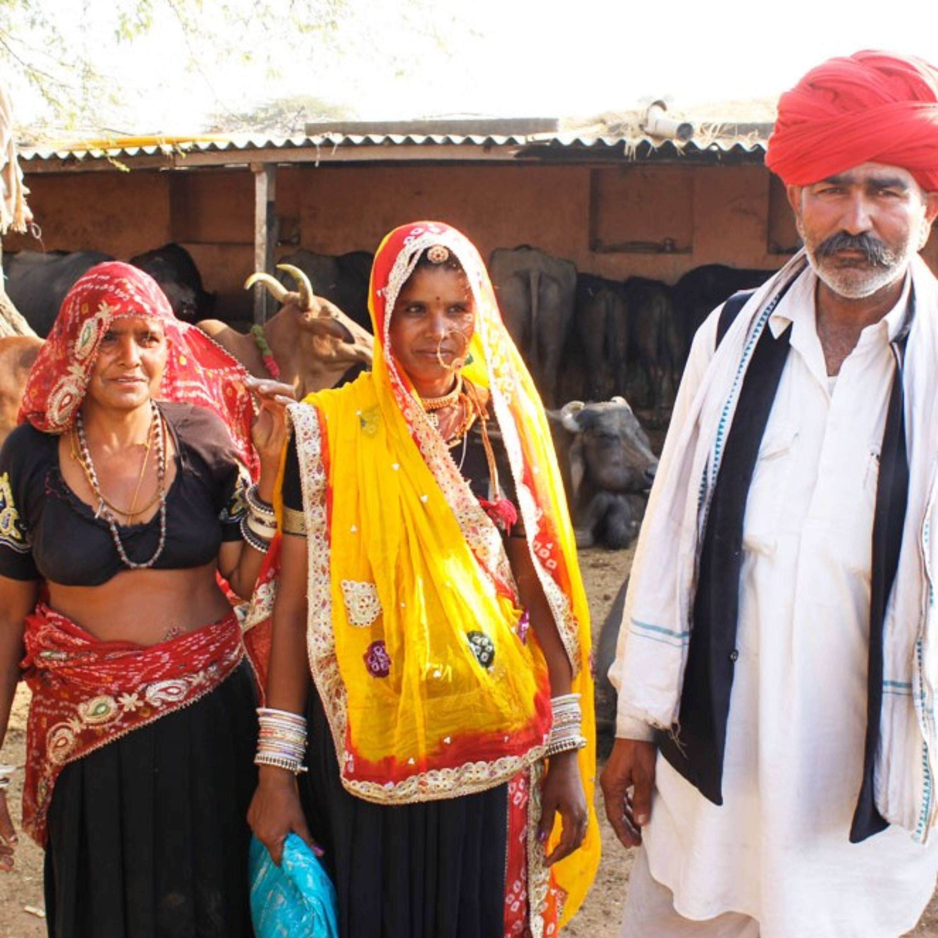 Boosting Rustic Rural India can boost Indian economy