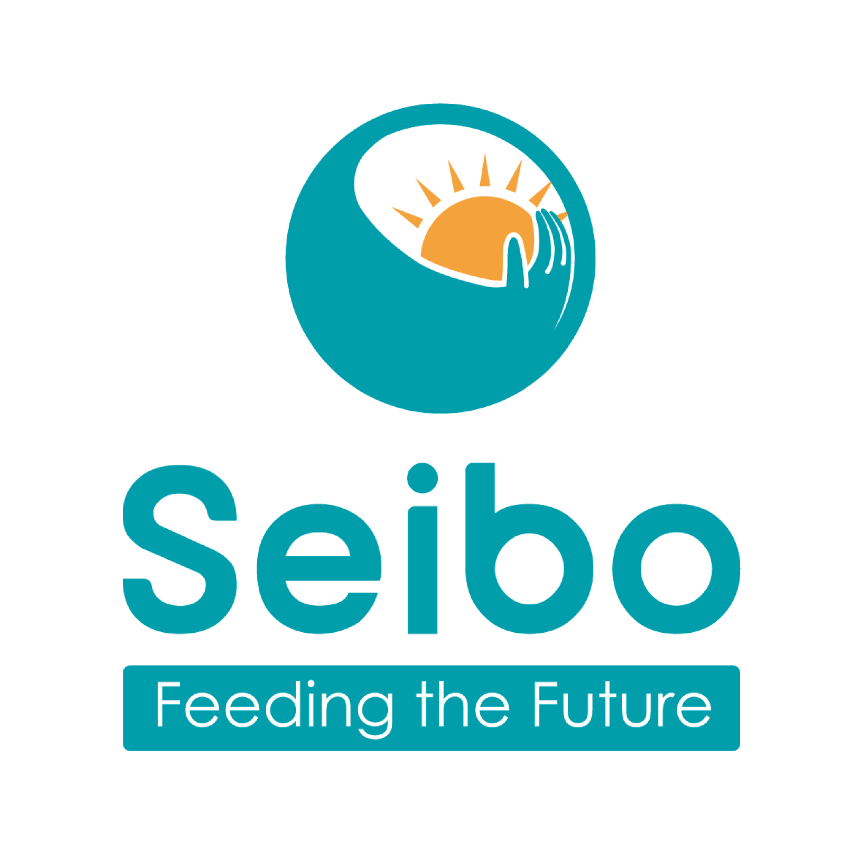 Seibo Japan podcast artwork