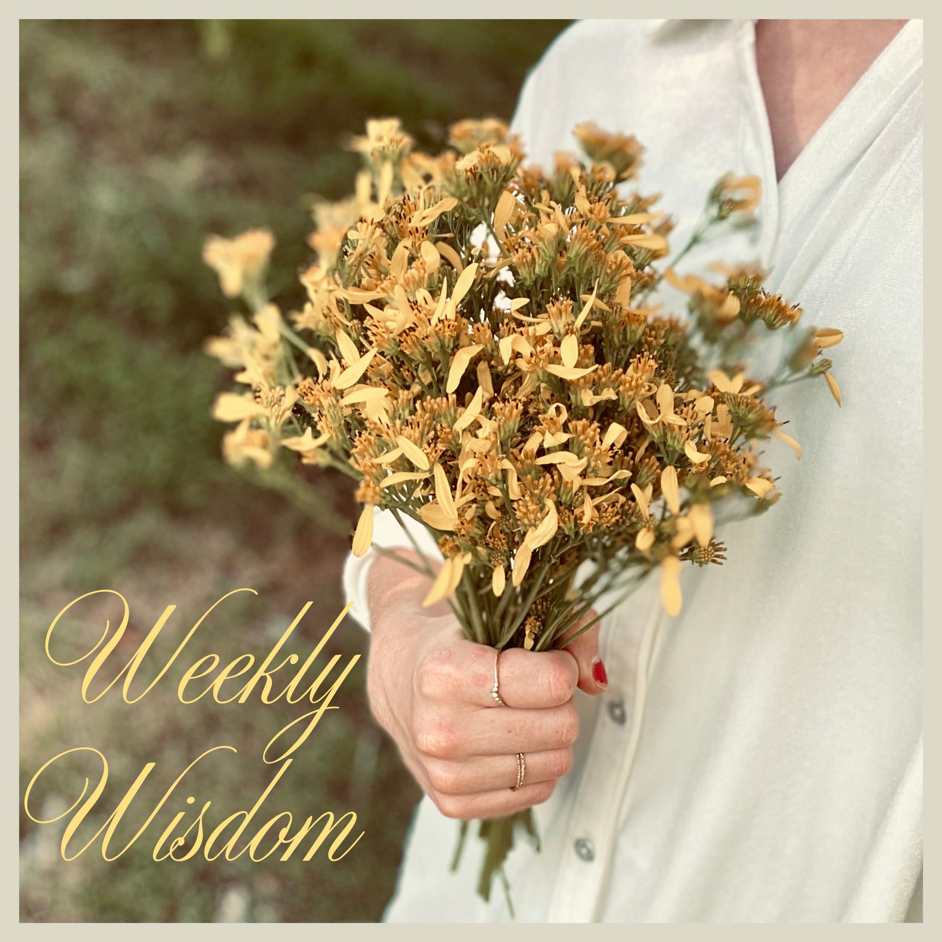 Weekly Wisdom