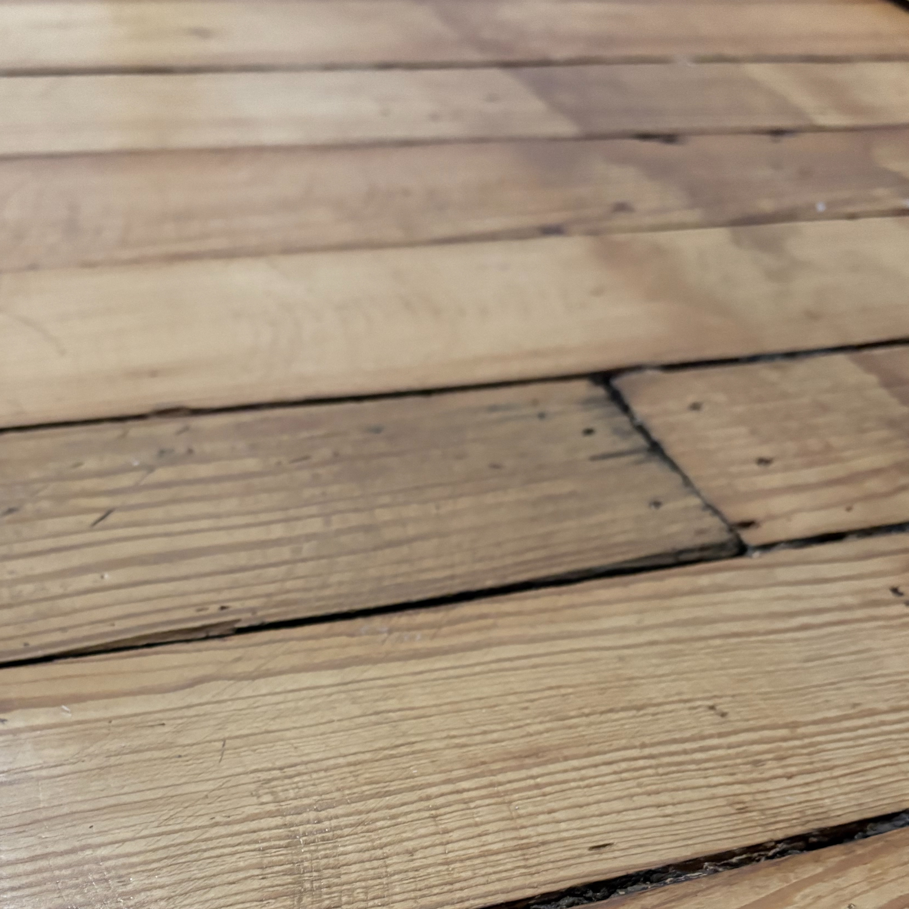 Subfloor Stories with Angie Ring