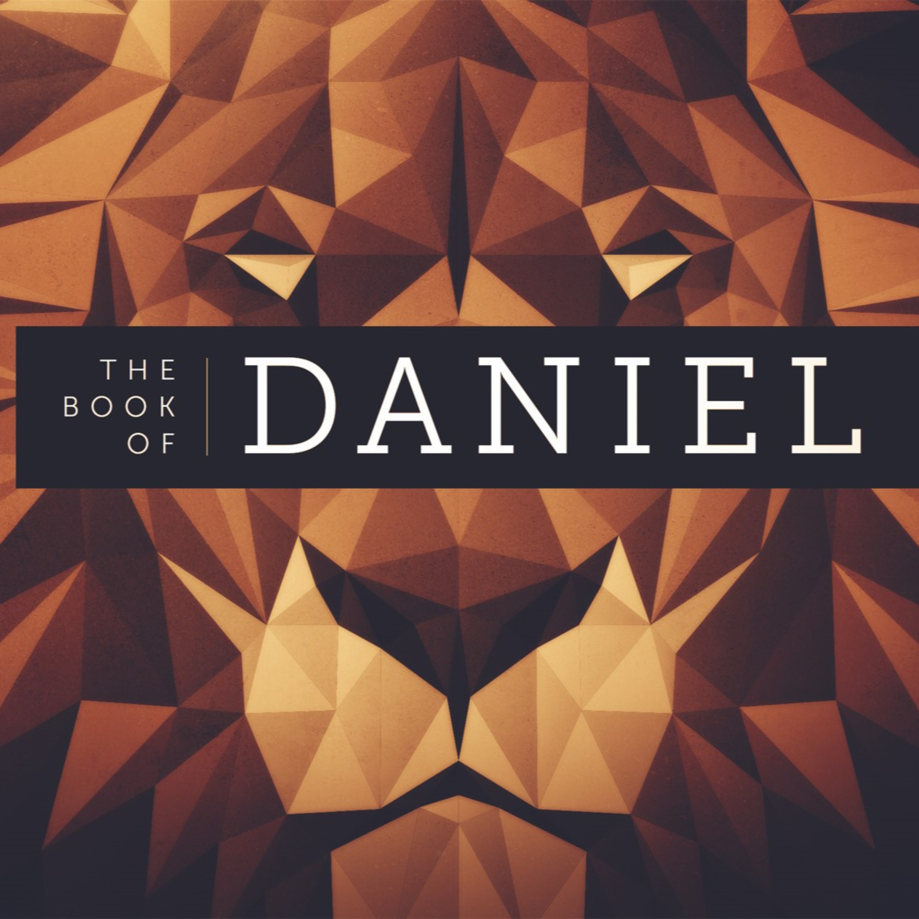 Book of Daniel Bible Study cover art