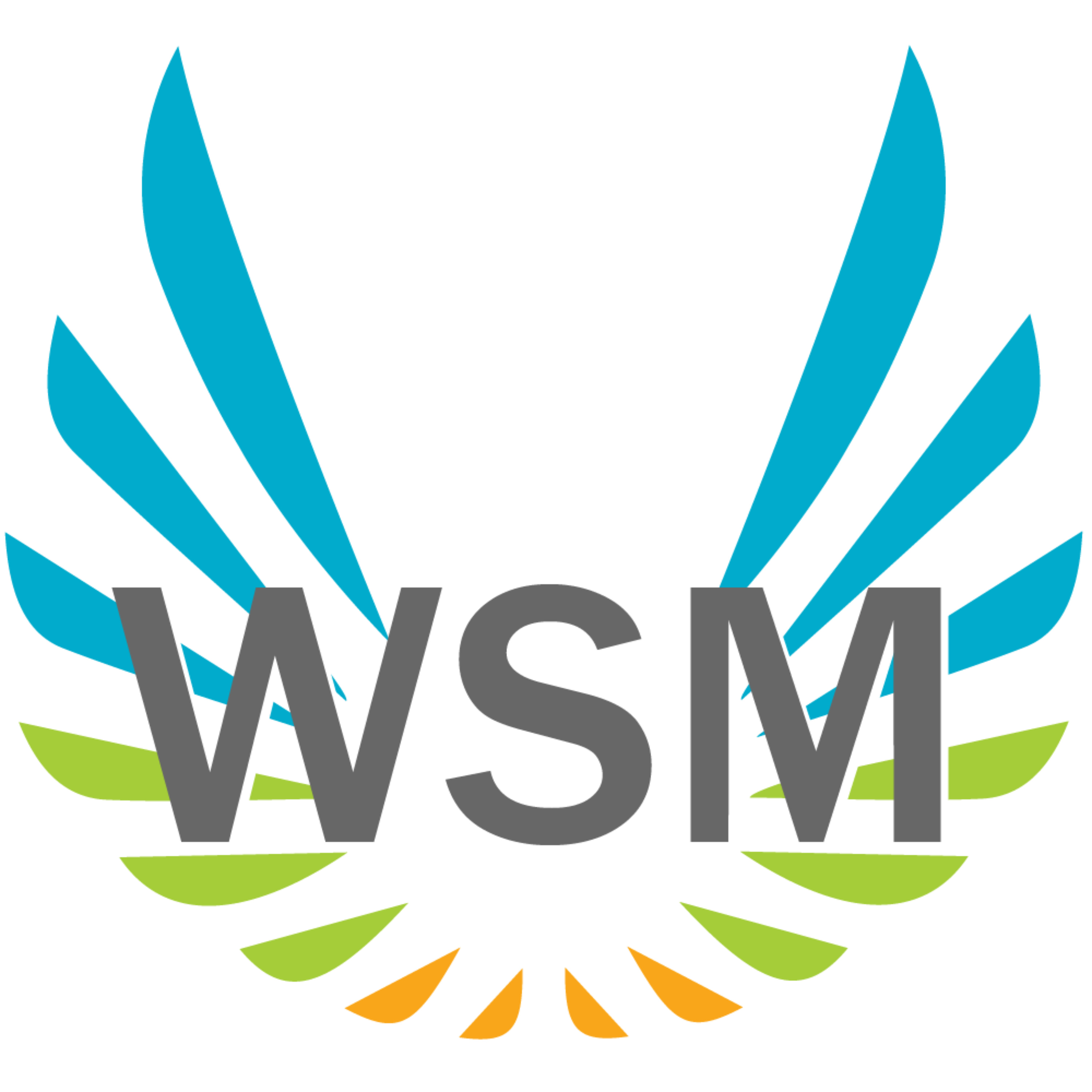Women in Streaming Media Education Podcast podcast artwork