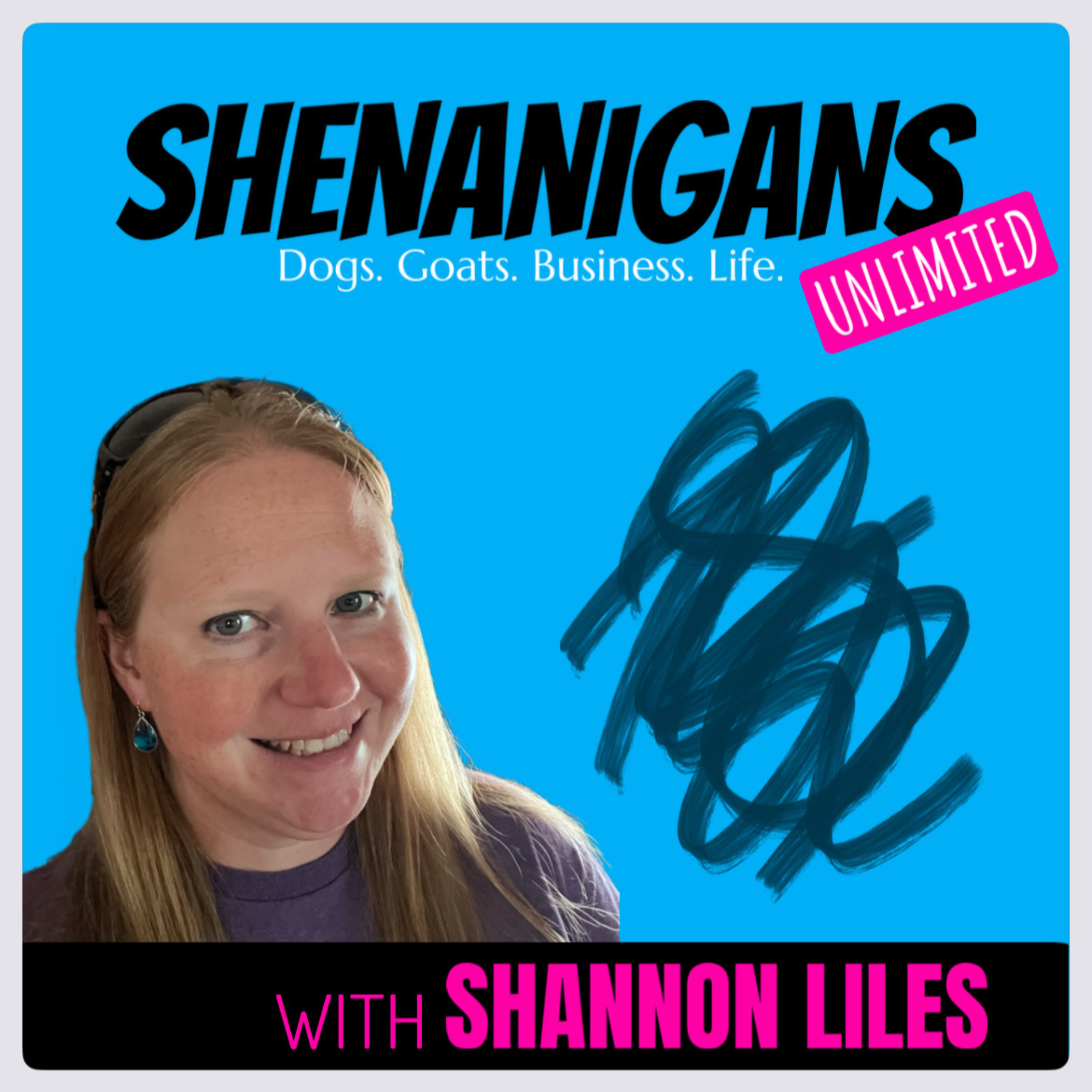 Shenanigans Unlimited podcast artwork