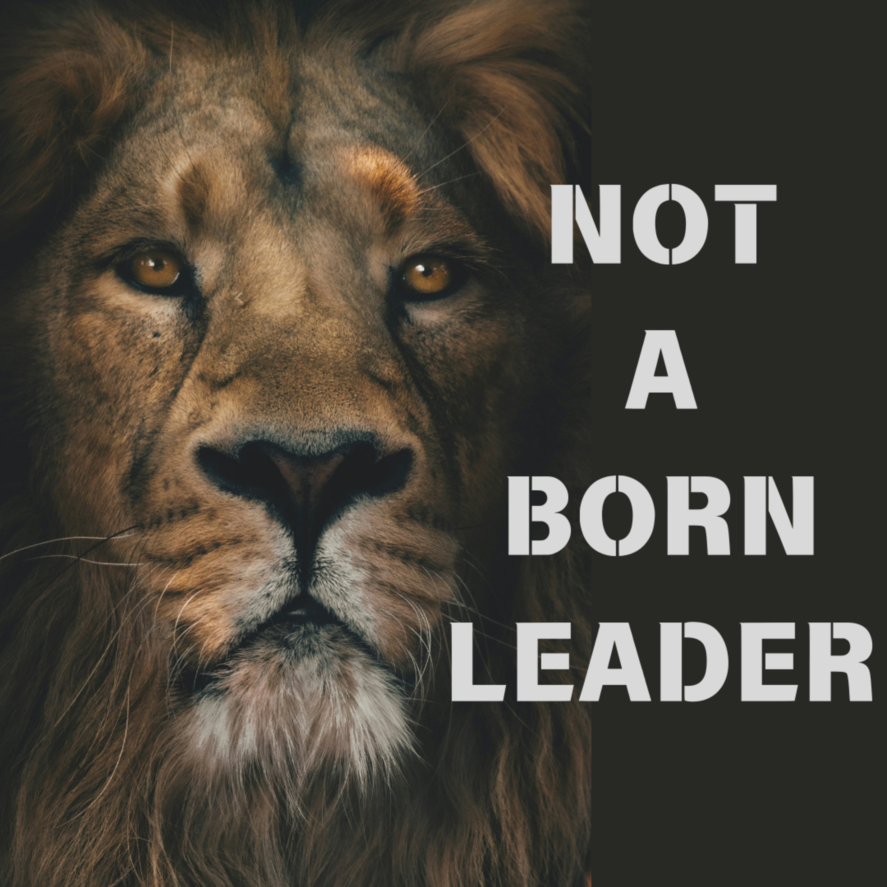 Not A Born Leader podcast artwork