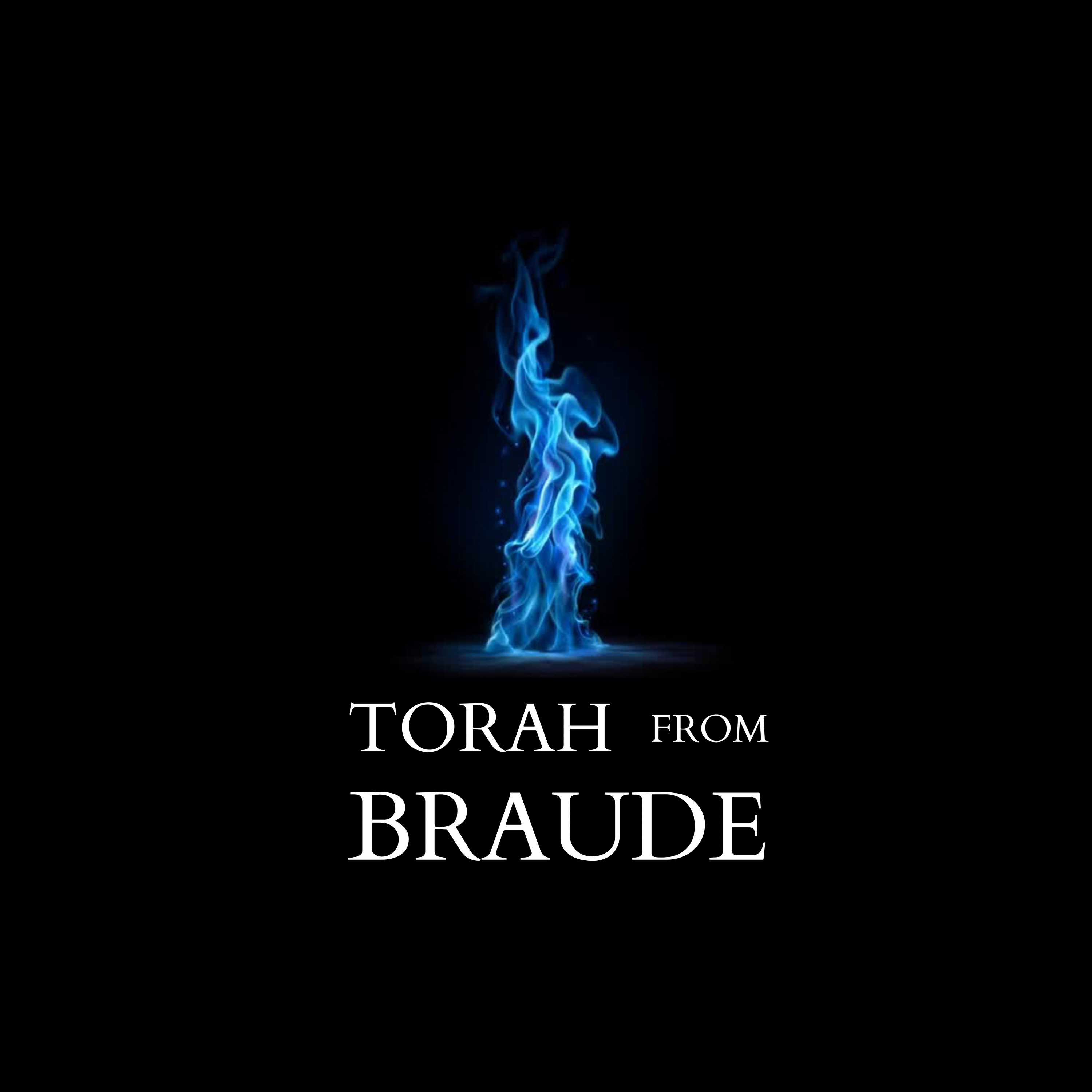 Torah from Braude