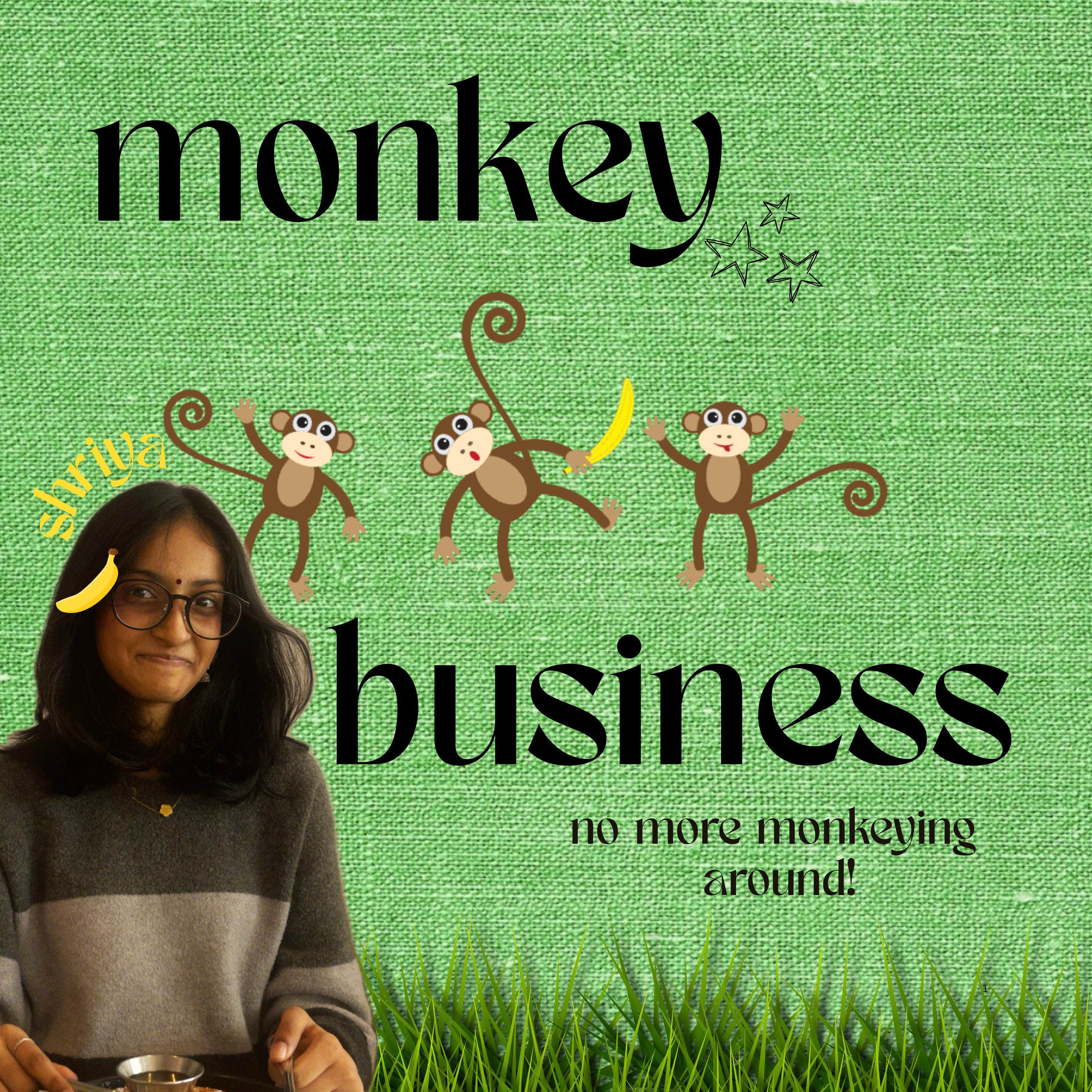 monkeybusiness cover art