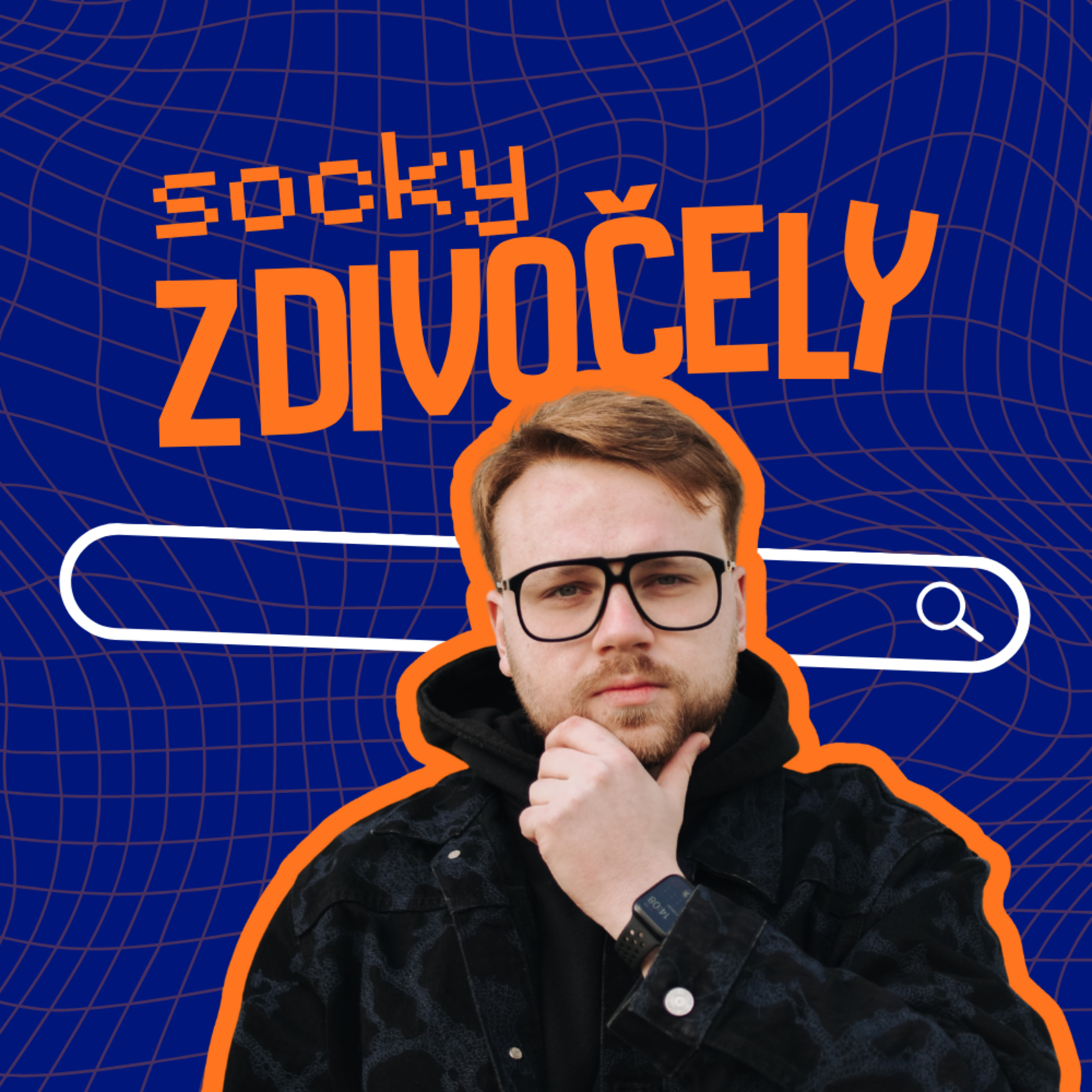 Socky zdivočely podcast artwork