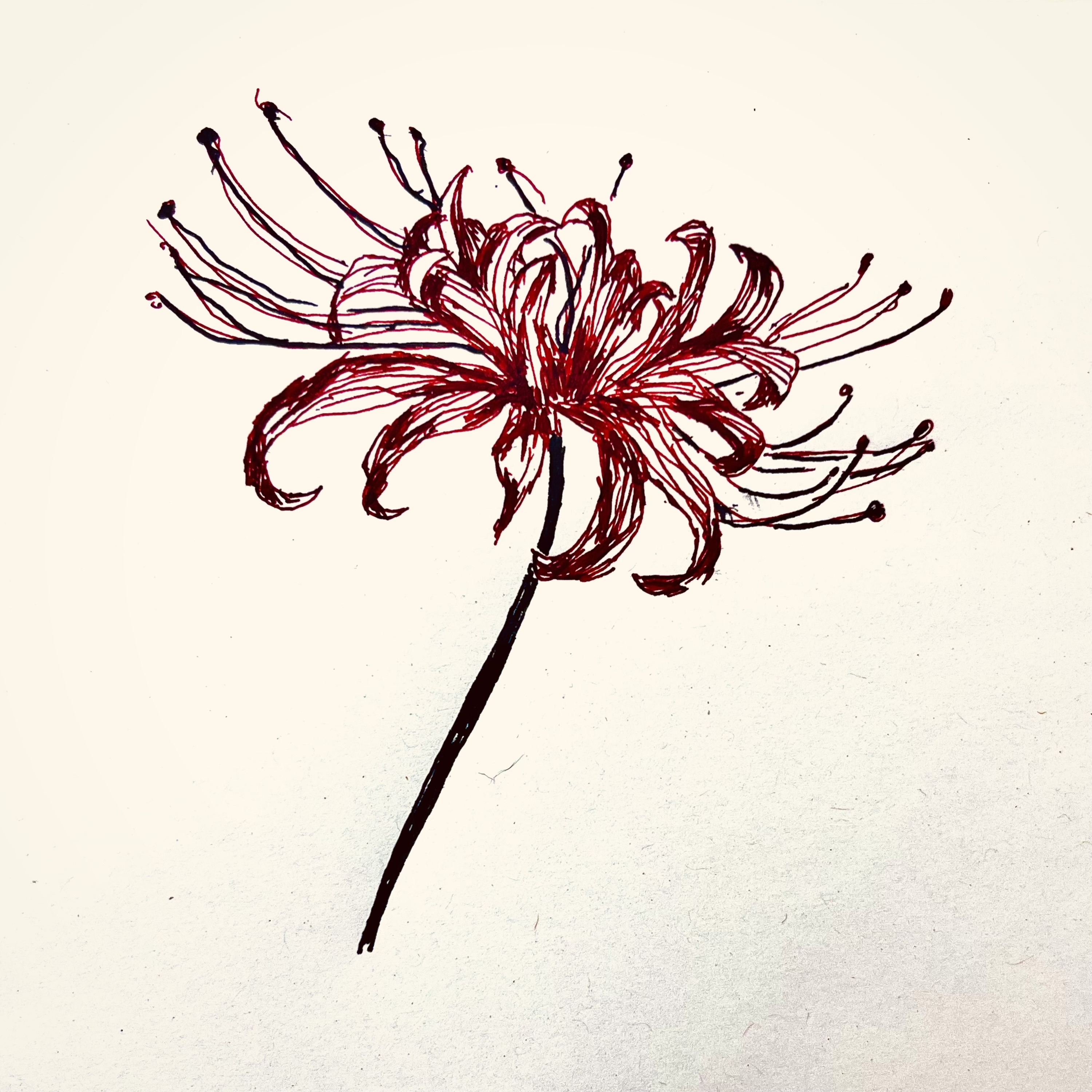 Meditationen eines Suchenden podcast artwork