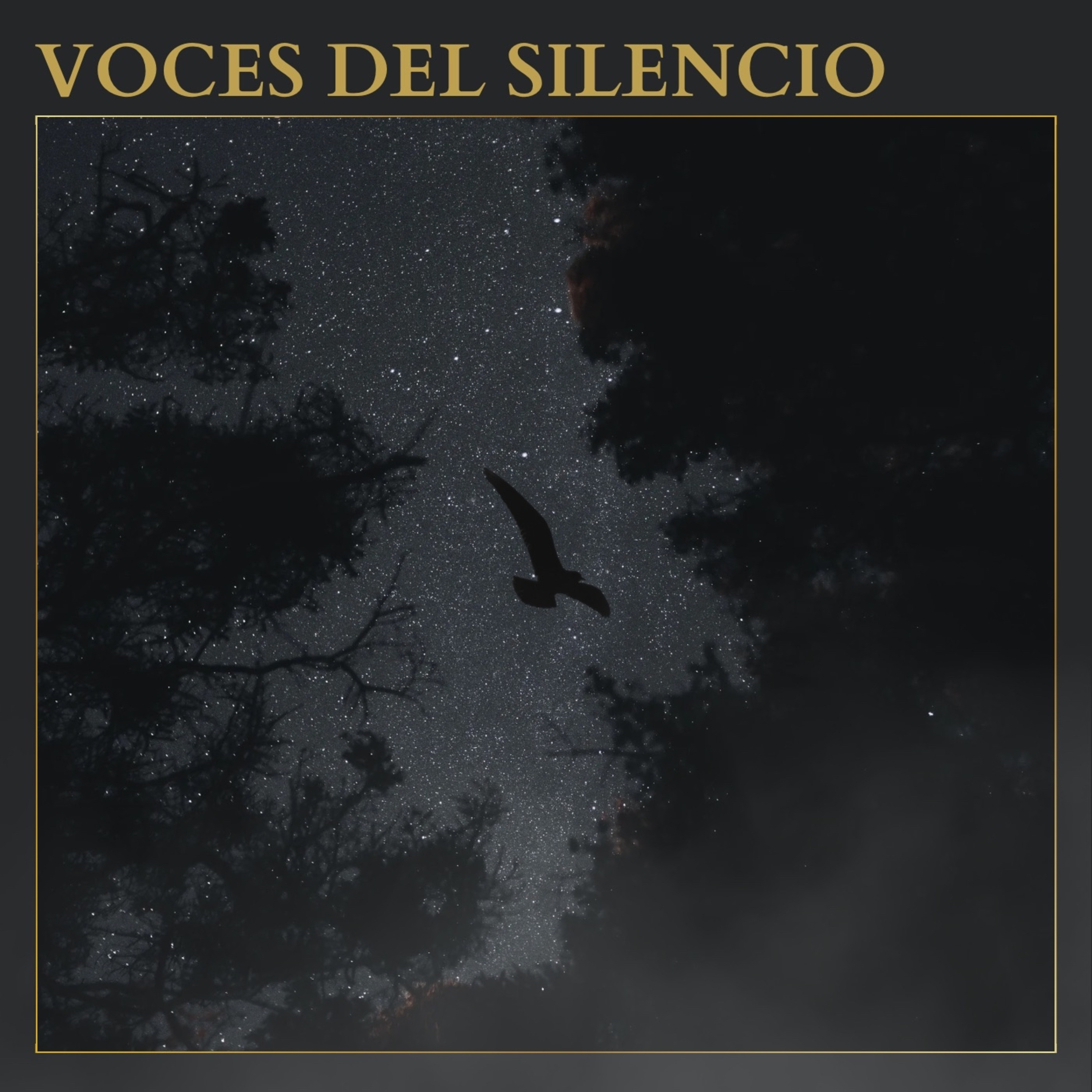 Voces del silencio
