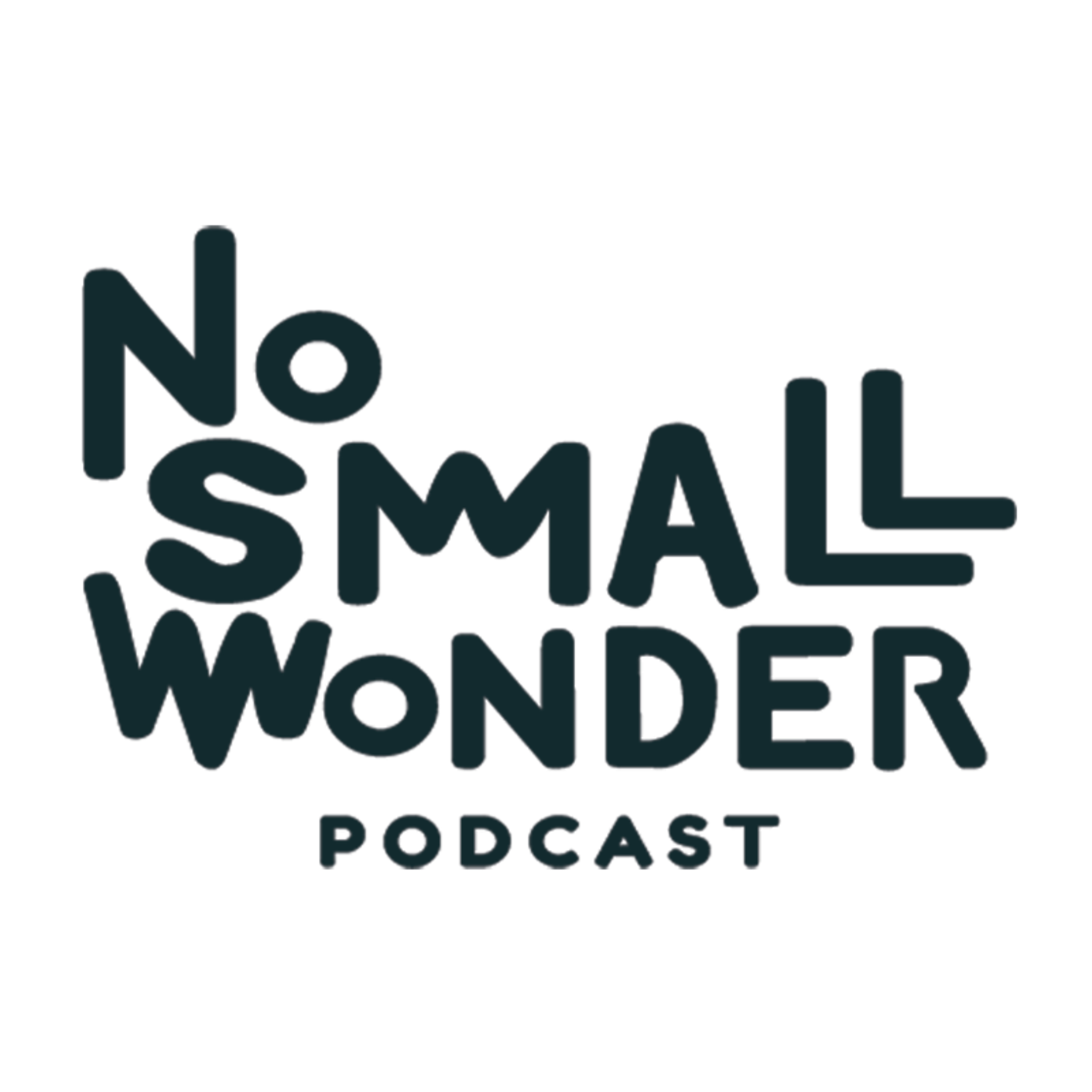 No Small Wonder podcast artwork