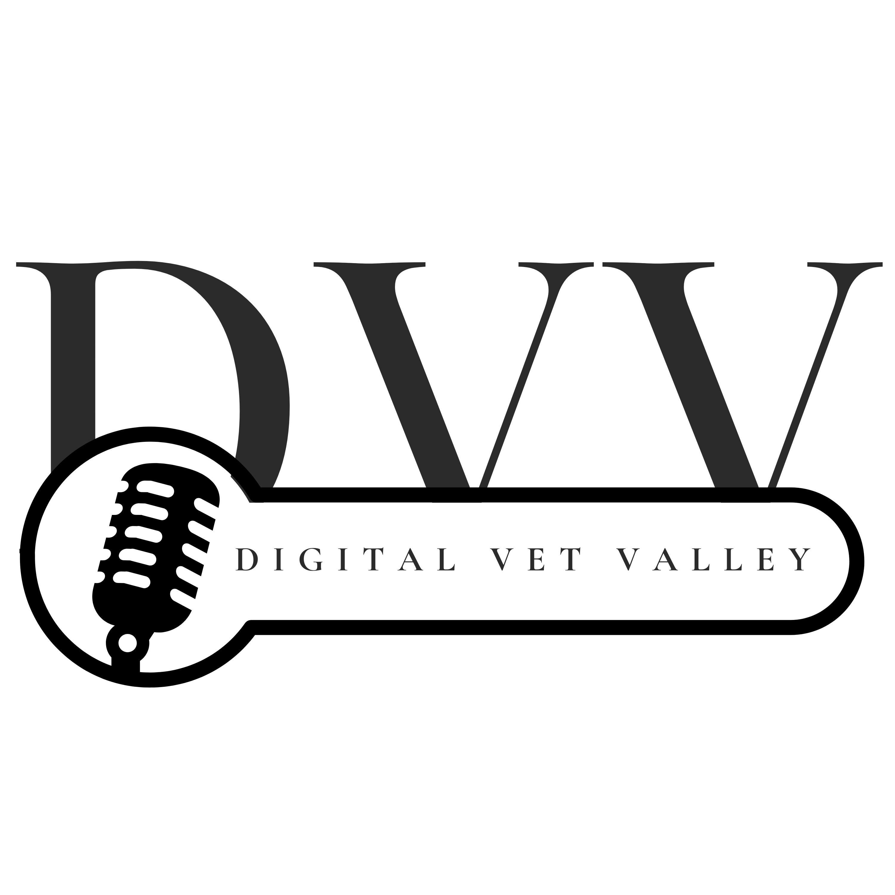 DigitalVetValley podcast artwork
