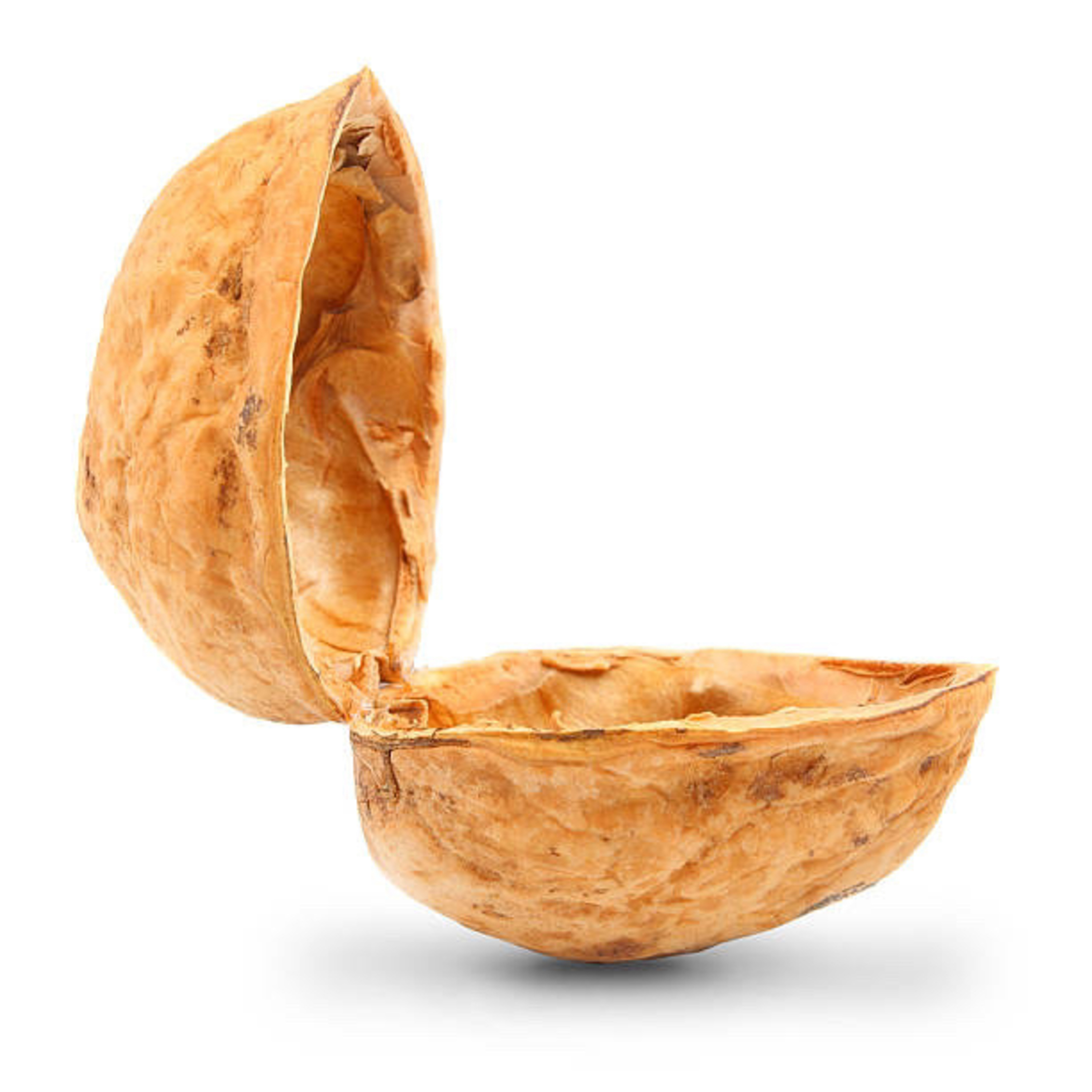 Mijn Leven in een Notendop