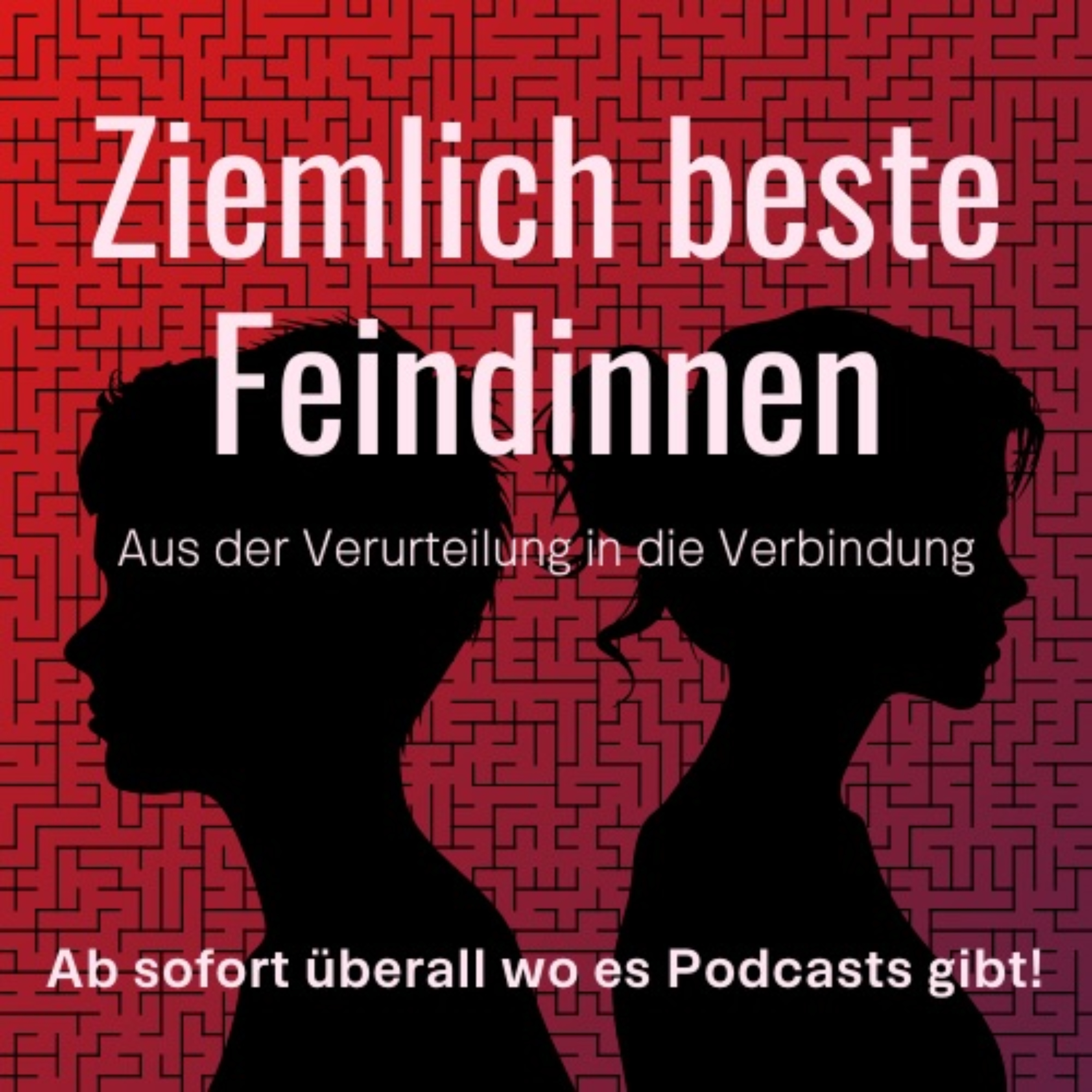 Ziemlich beste Feindinnen