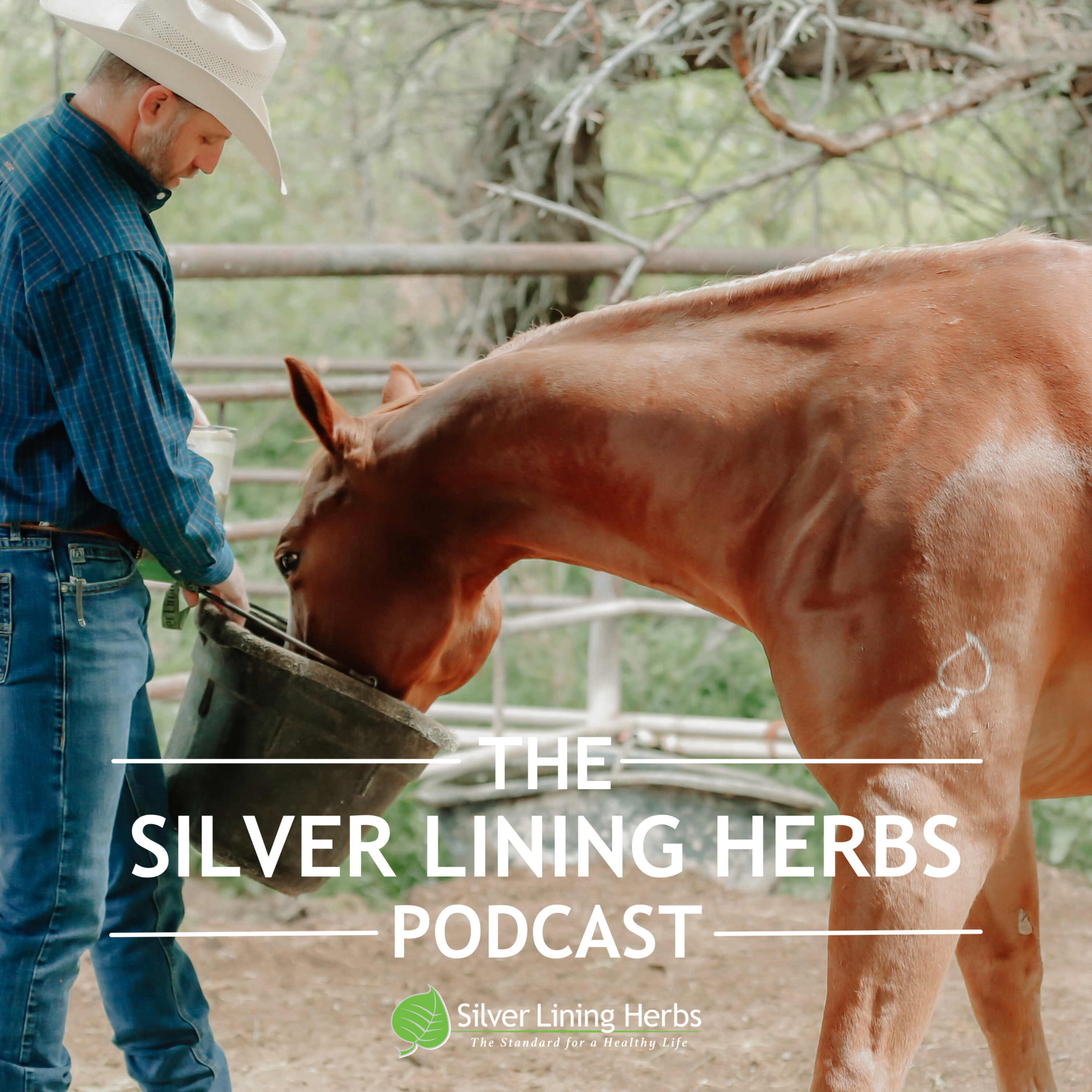 Silver Lining Herbs Podcast podcast artwork