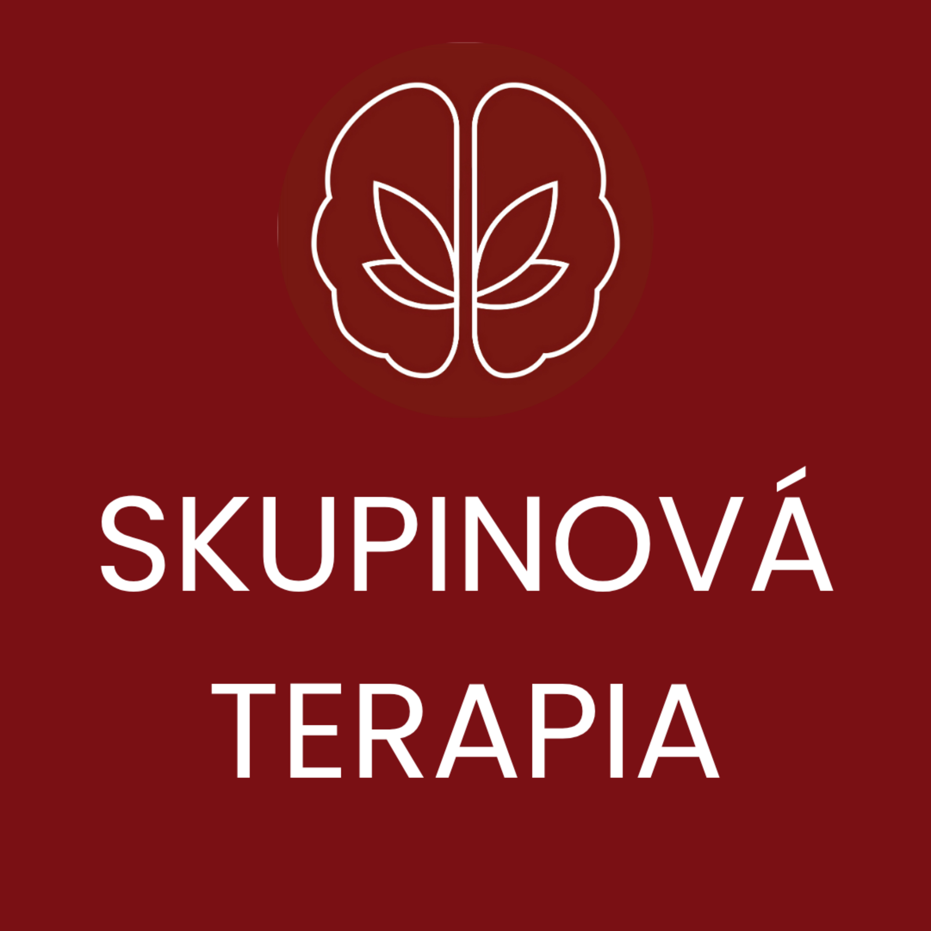 Skupinová Terapia