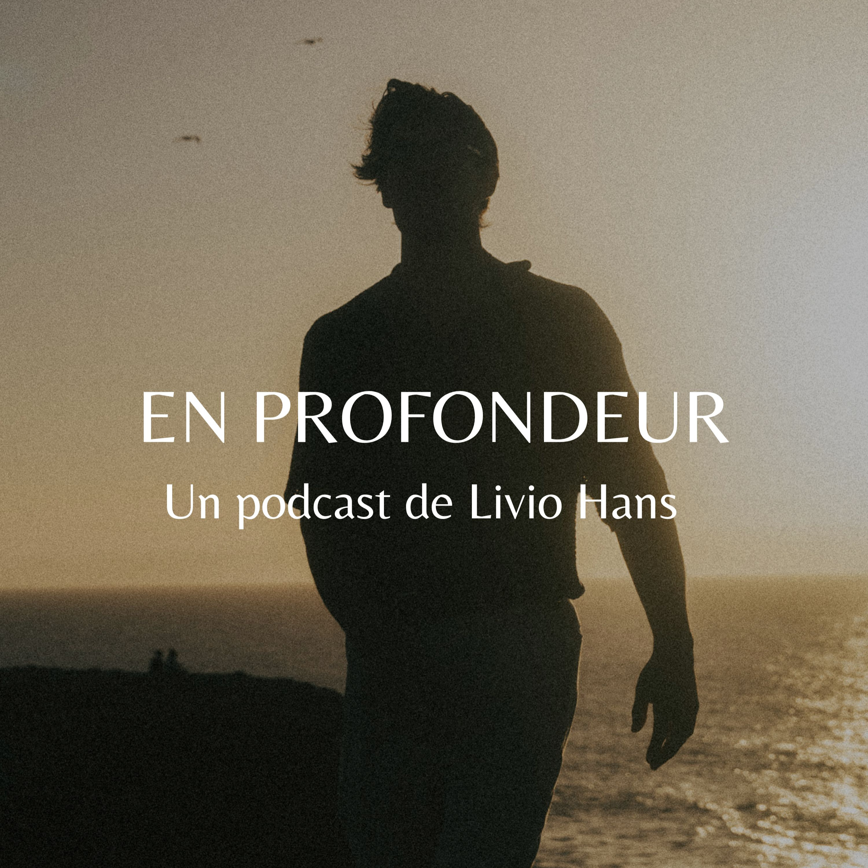 En profondeur podcast artwork