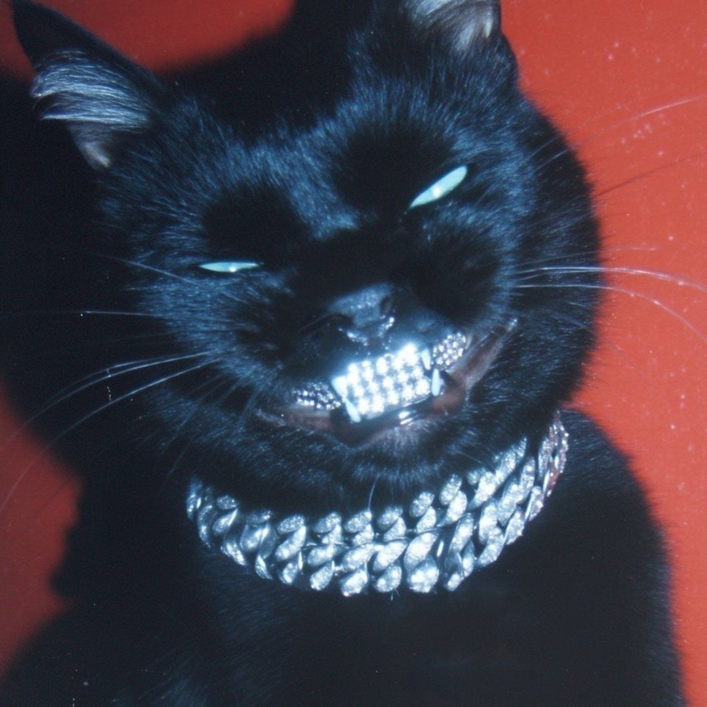 Jack on en parle