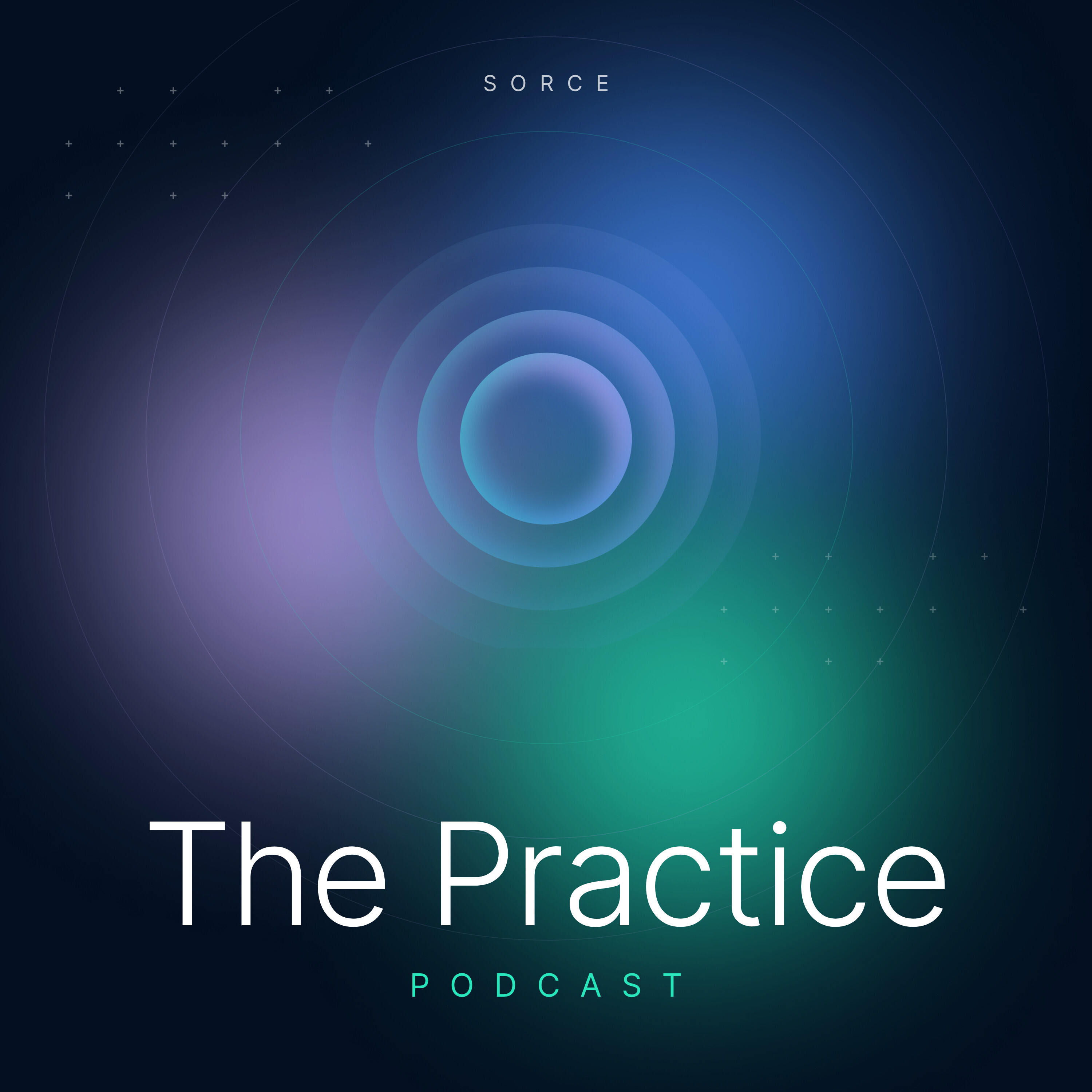 The Practice Podcast