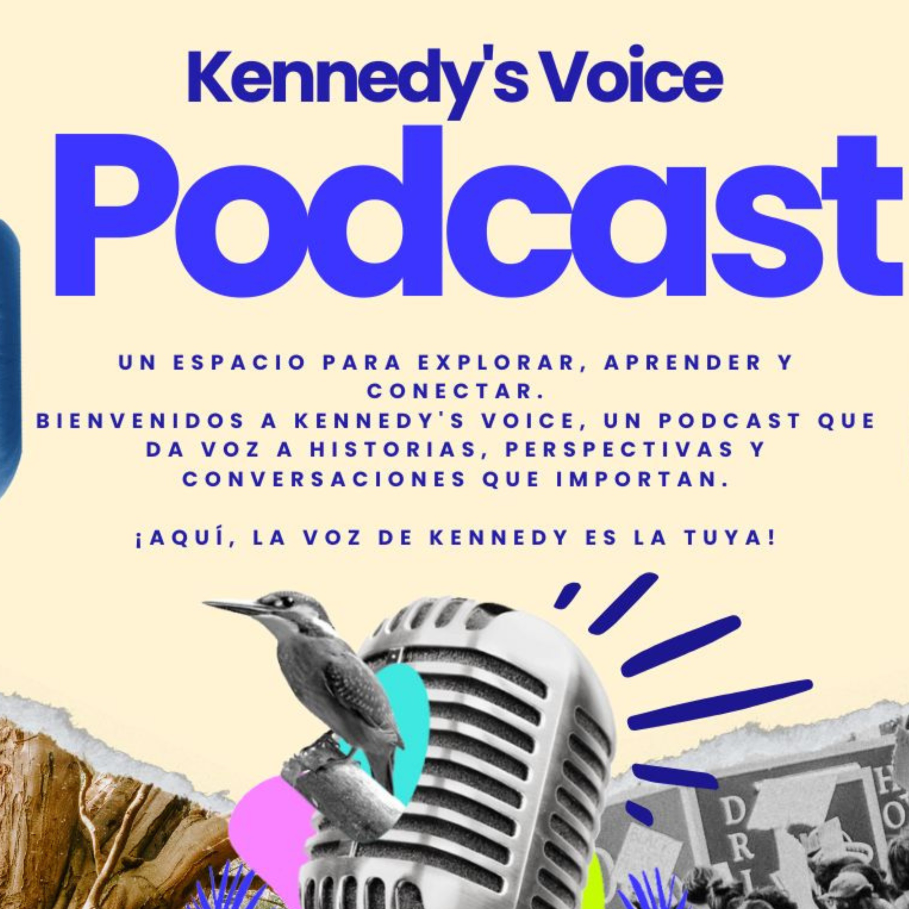 Kennedy's Voice Podcast podcast artwork