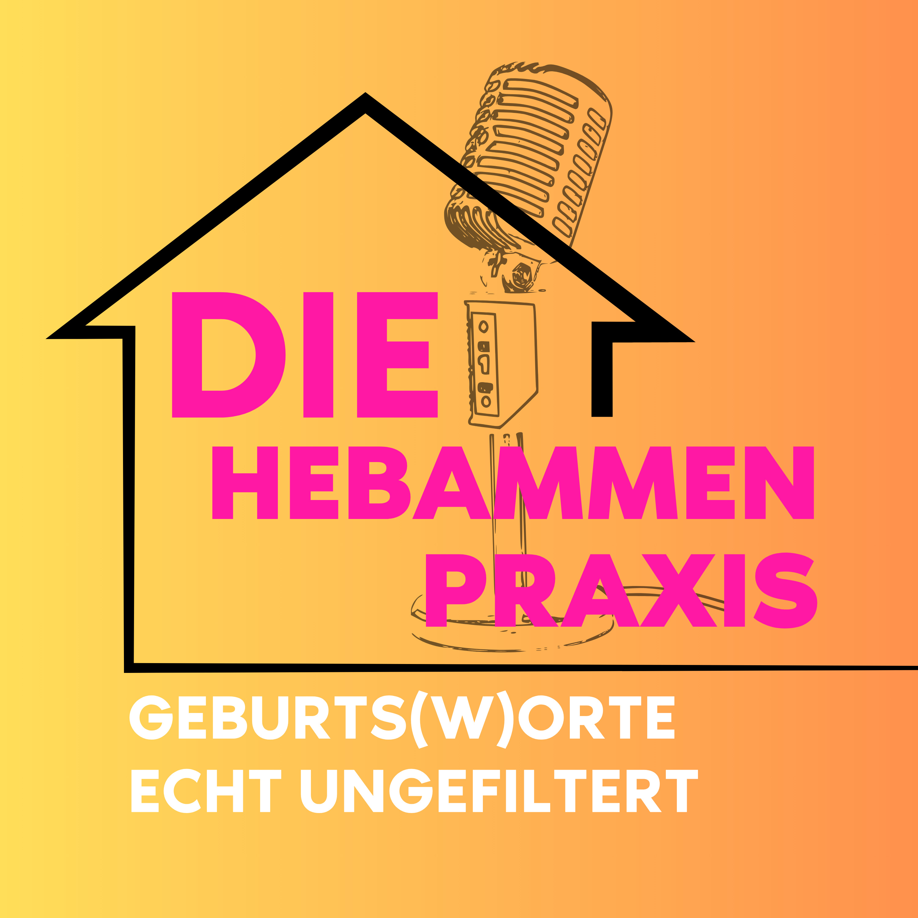 Die Hebammenpraxis - Geburts(w)orte echt ungefiltert