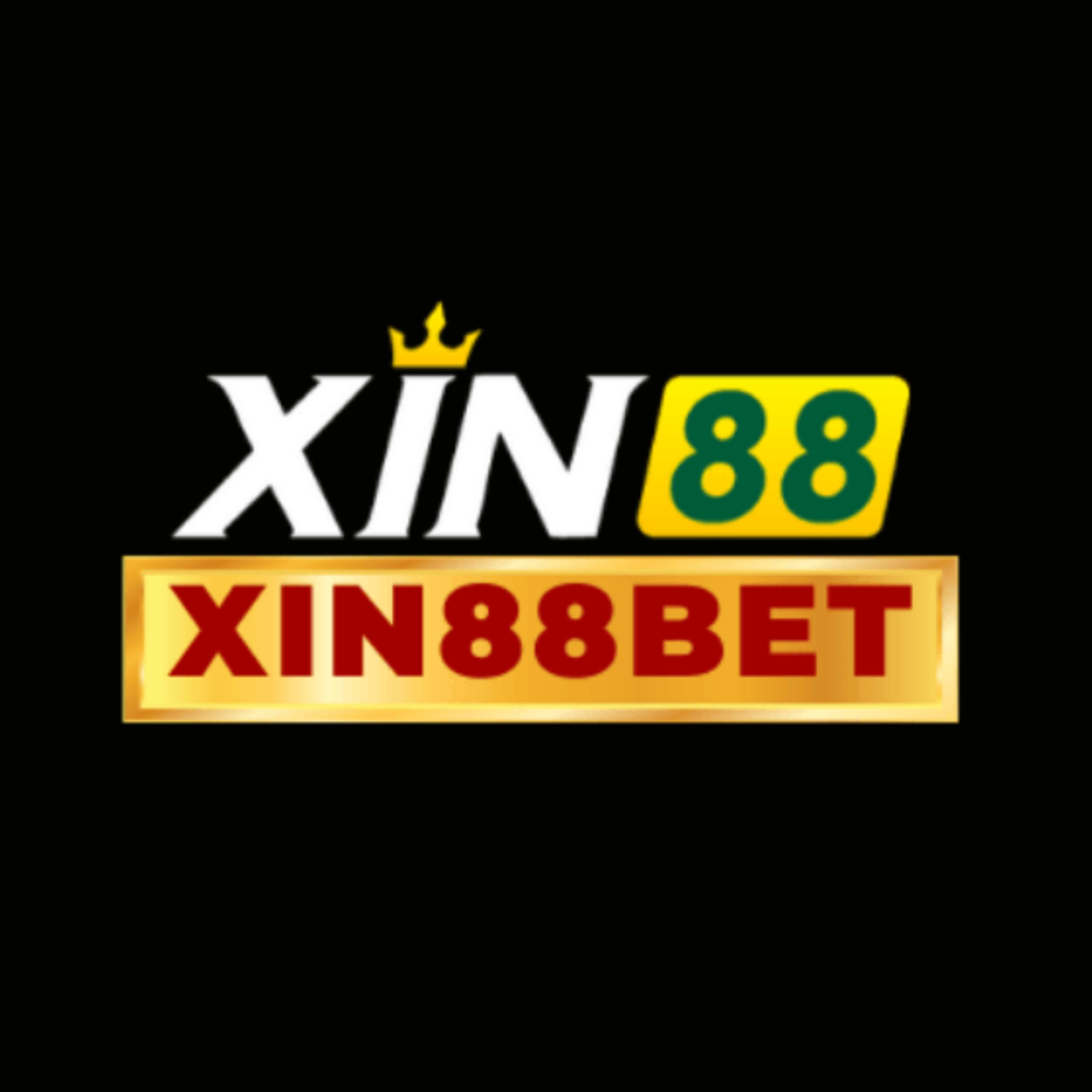 Xin88