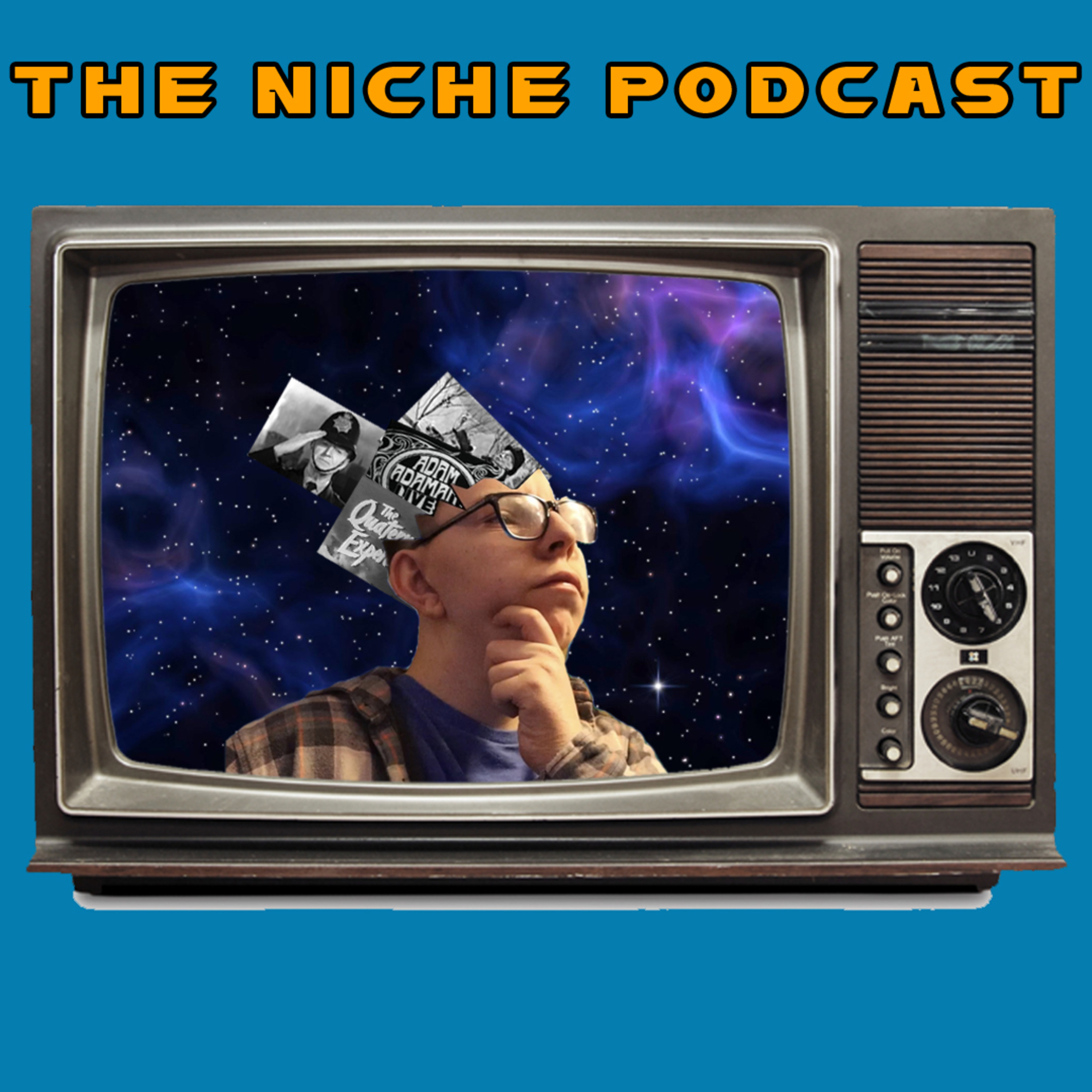 The Niche Podcast cover art
