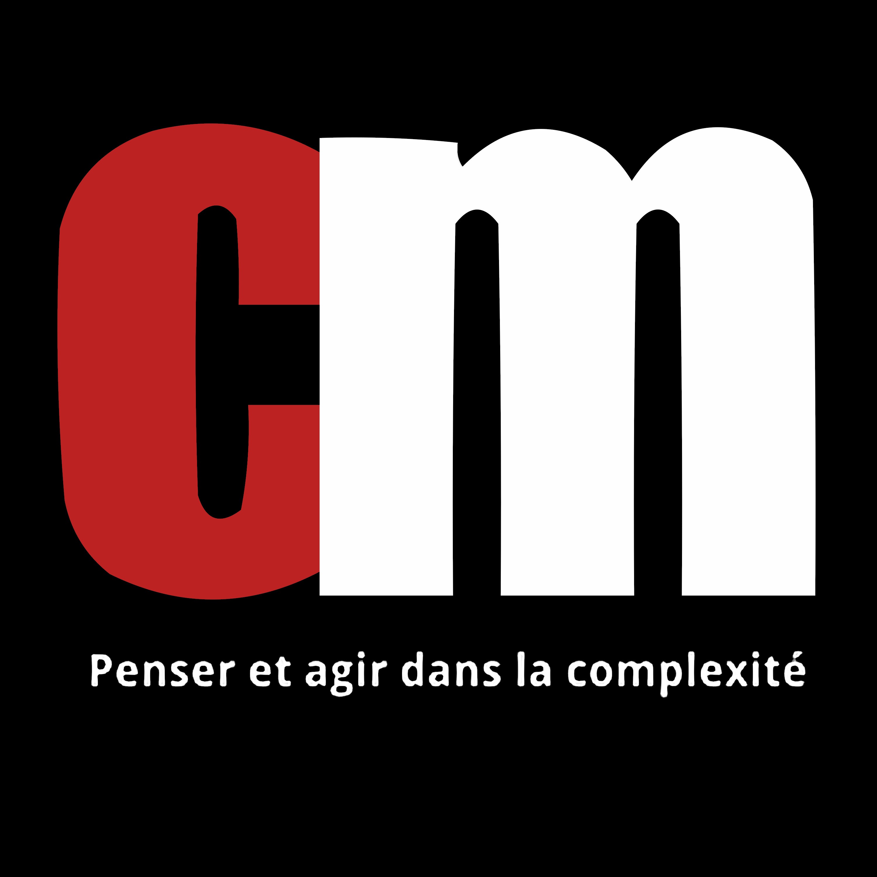 Séminaire comprendre et agir dans la complexité : pour une théorie de la situation