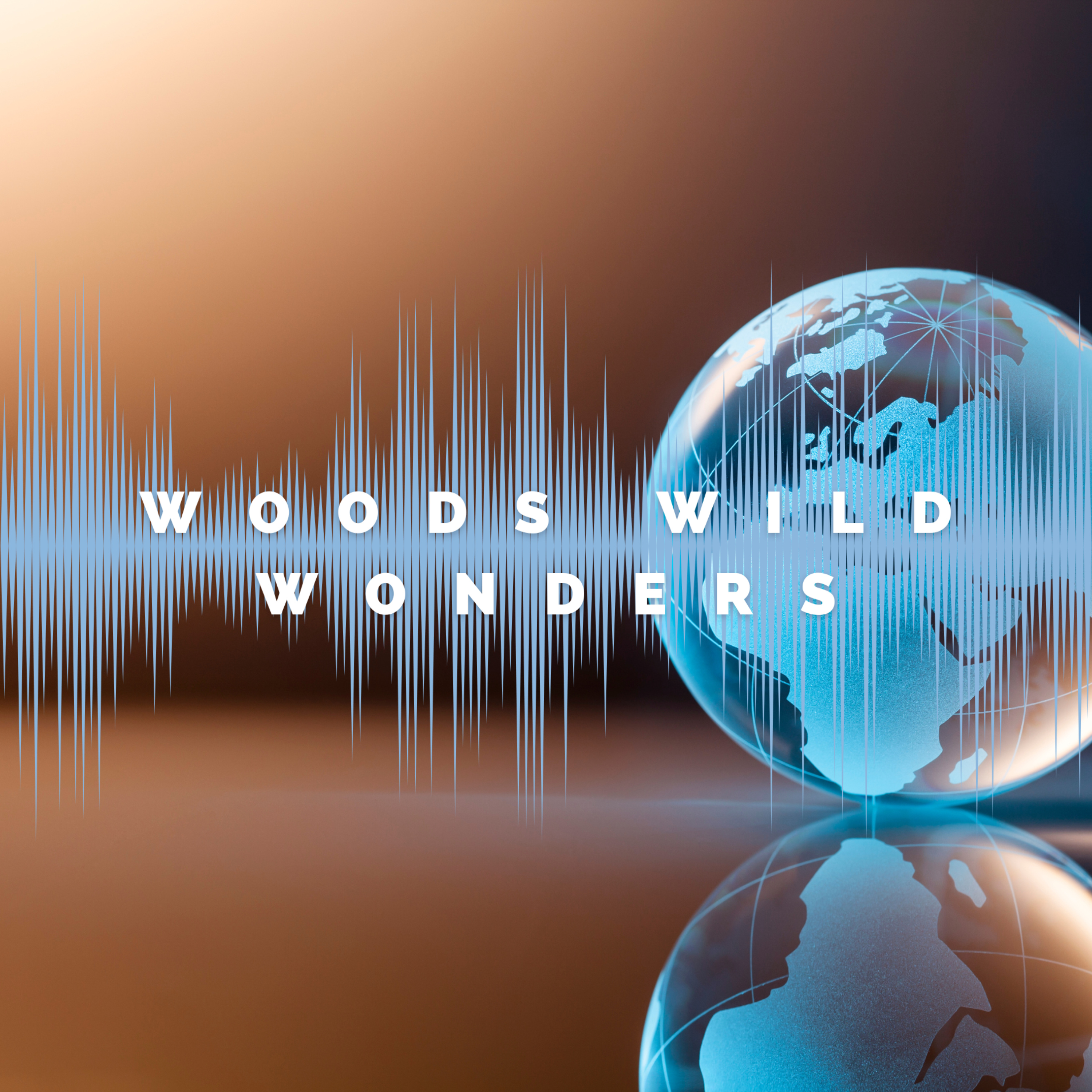 Woods Wild Wonders podcast artwork