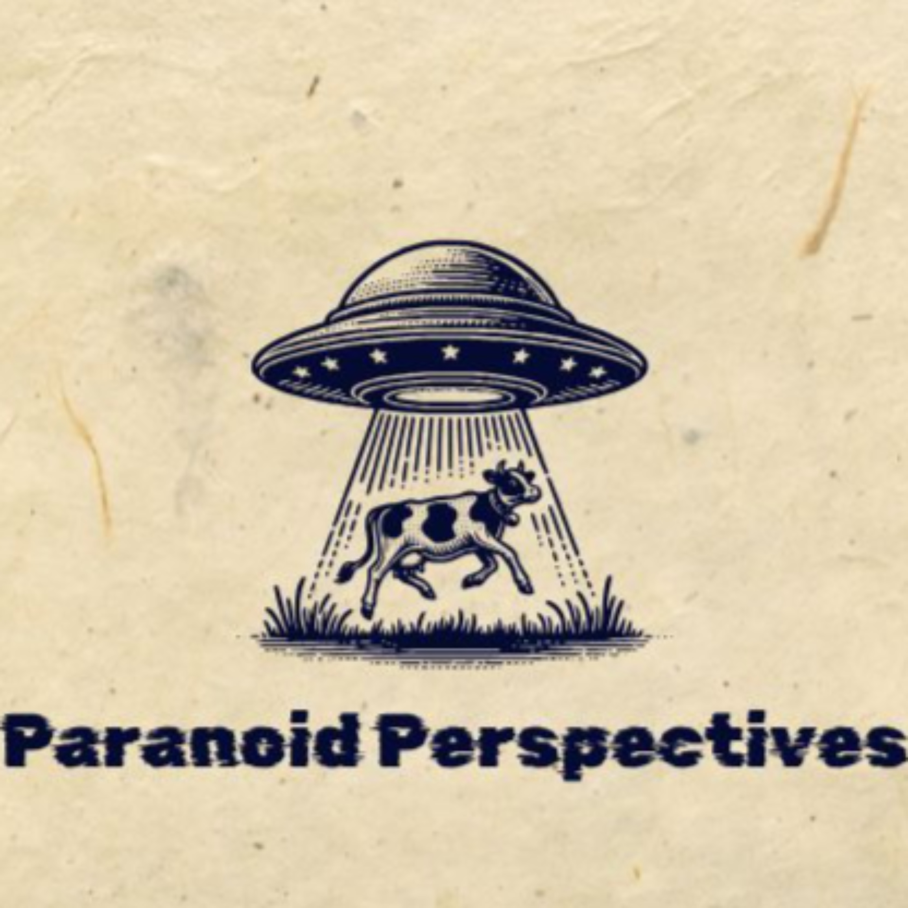 Paranoid Perspectives