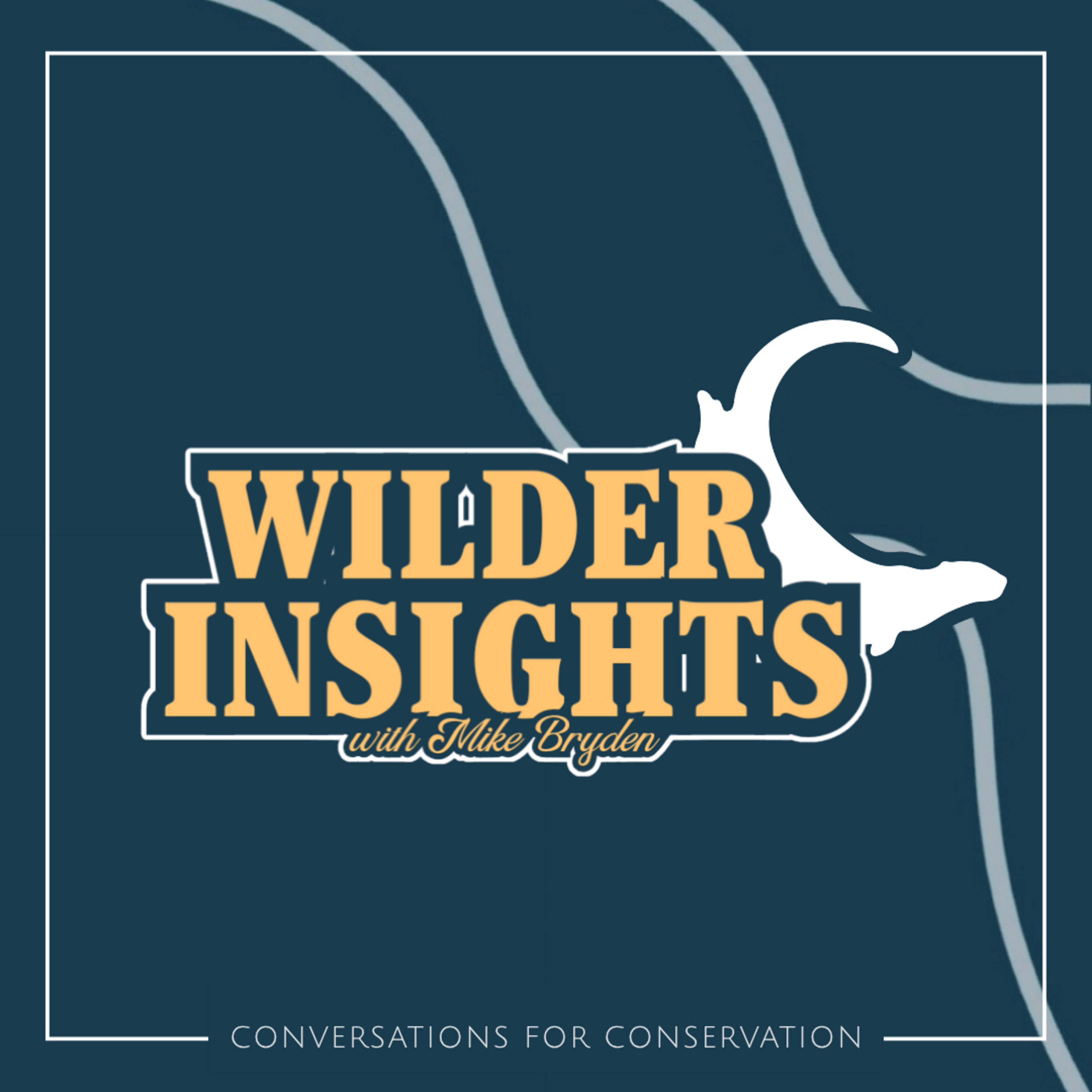 Wilder Insights with Mike Bryden