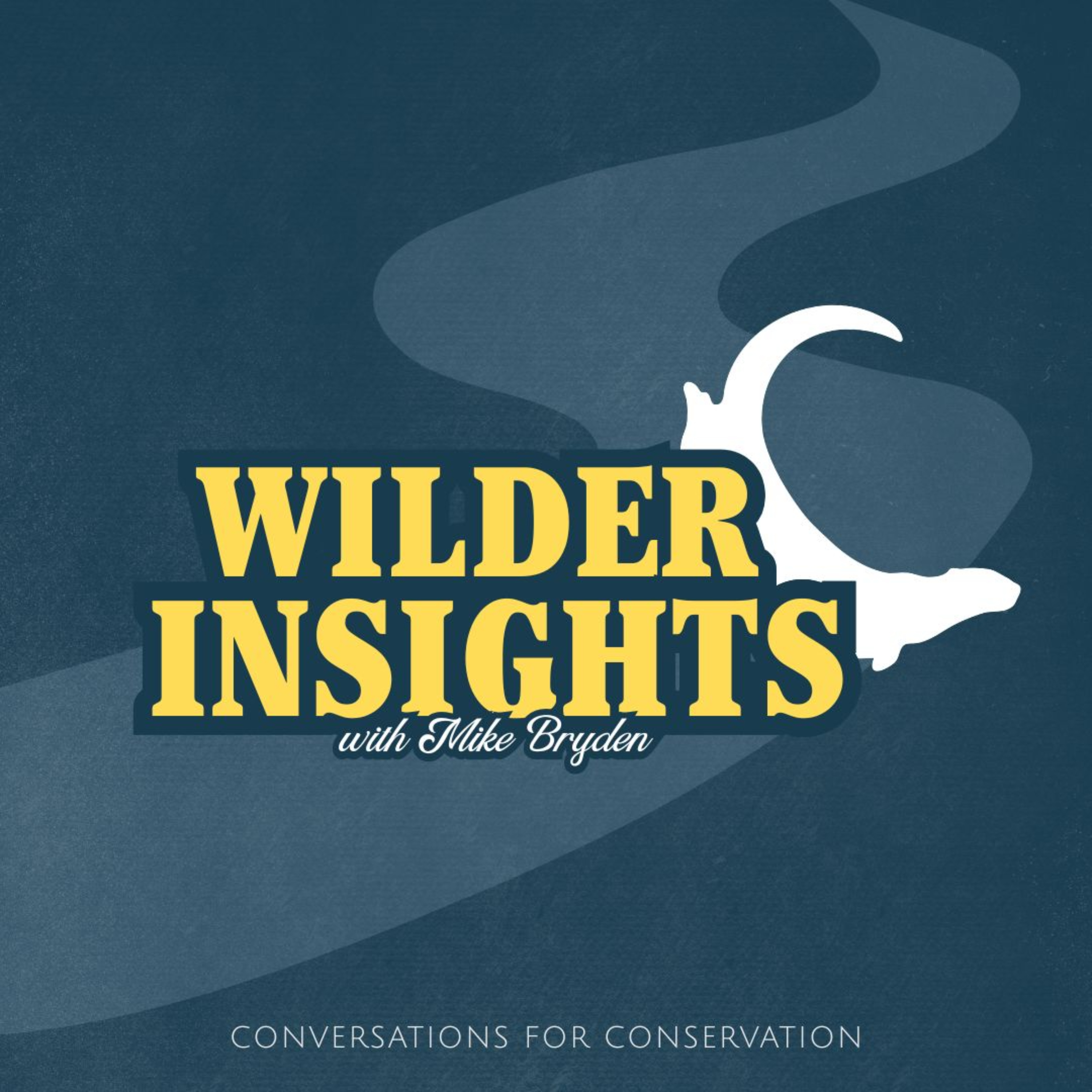 Wilder Insights with Mike Bryden