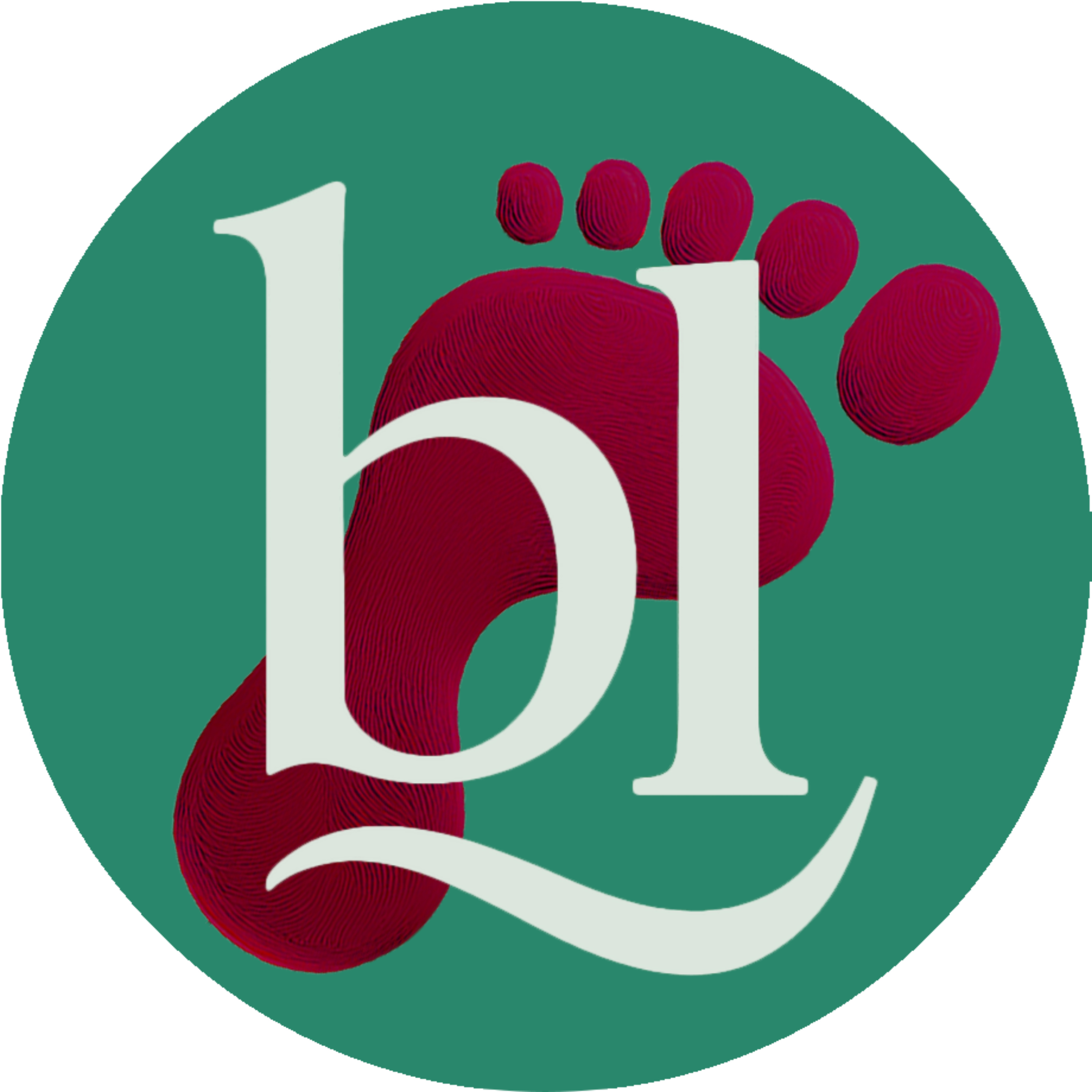 Bijzondere Levens cover art