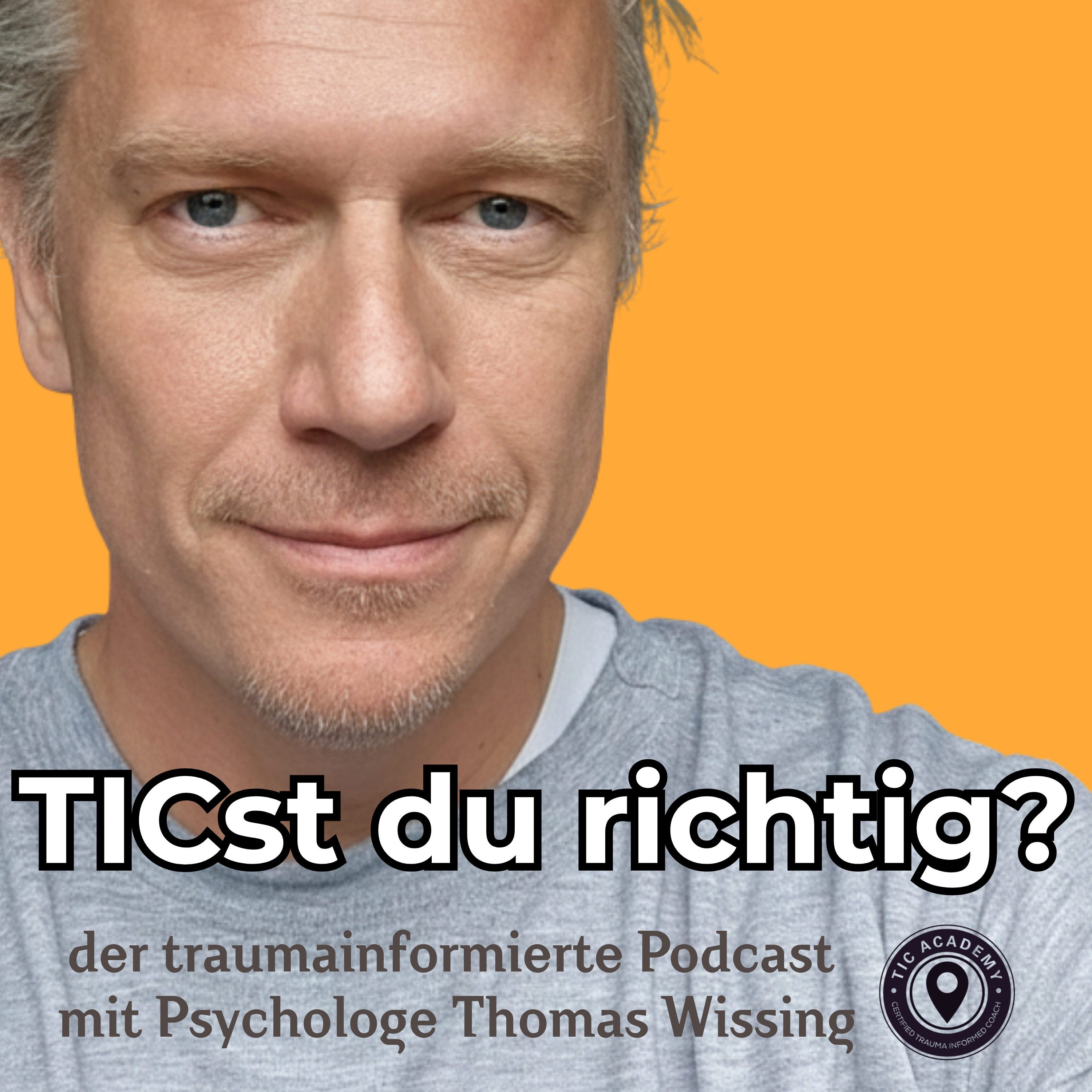 TICst du richtig? cover art