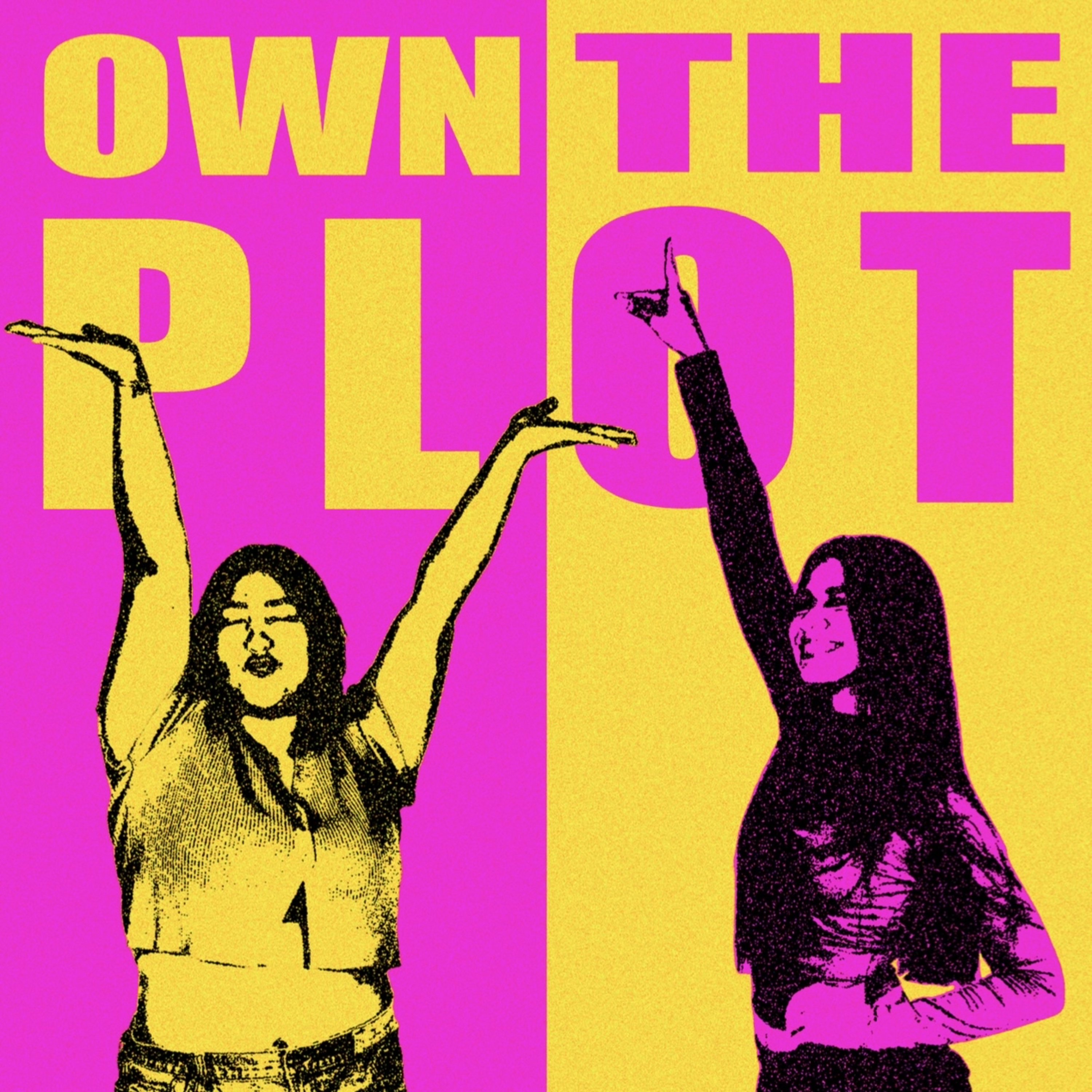 Own The Plot