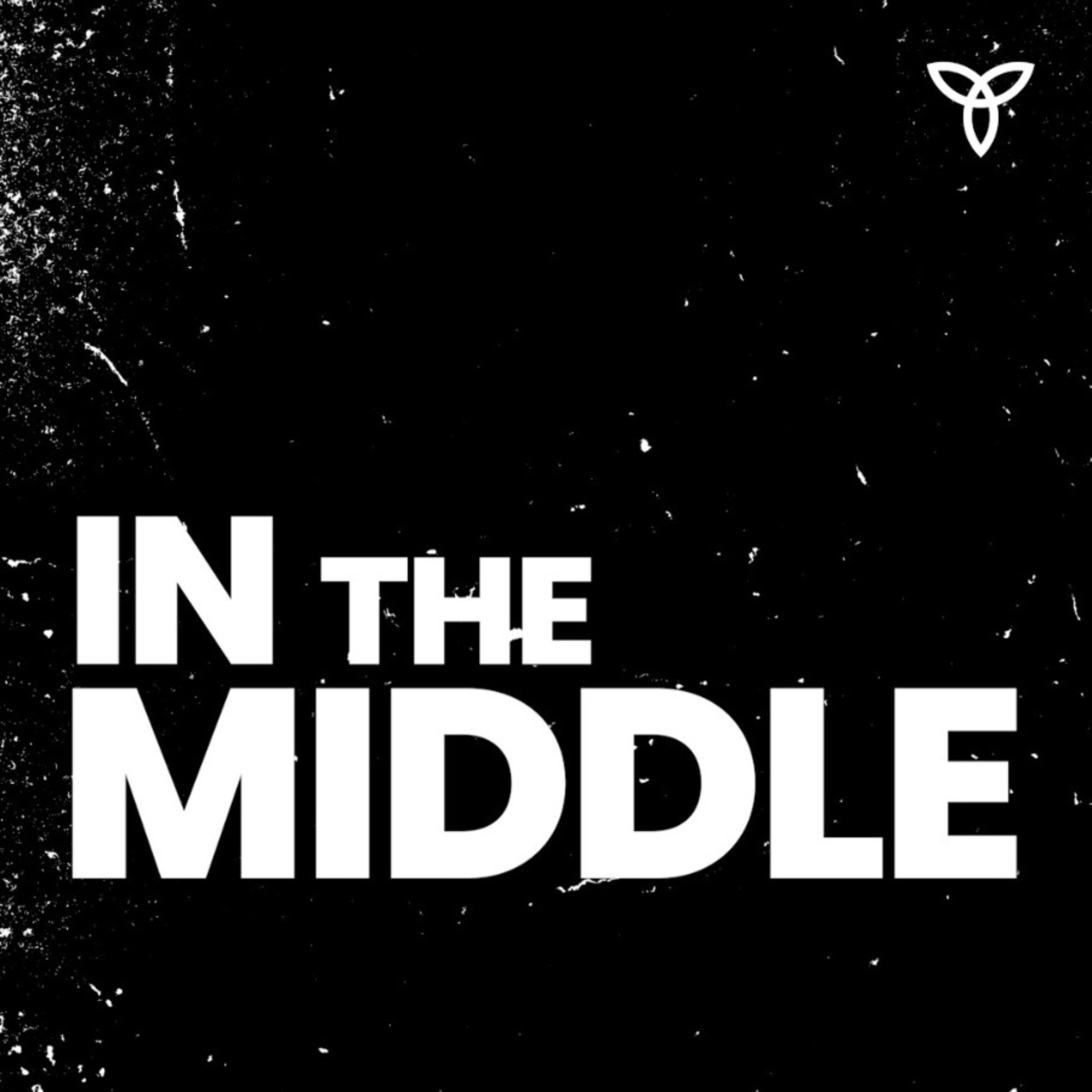 In the Middle | Understanding the Arab World cover art