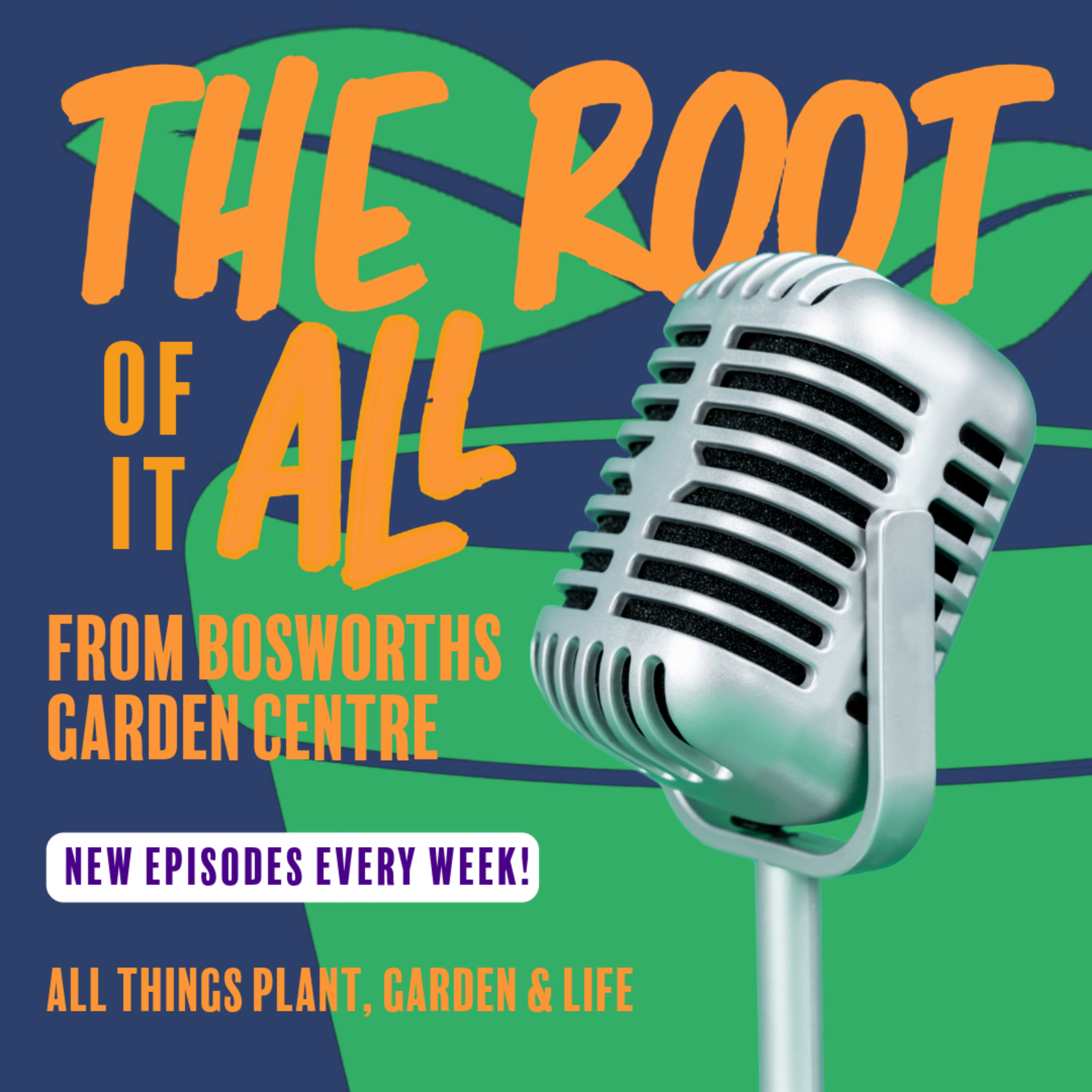 The Root of it All 