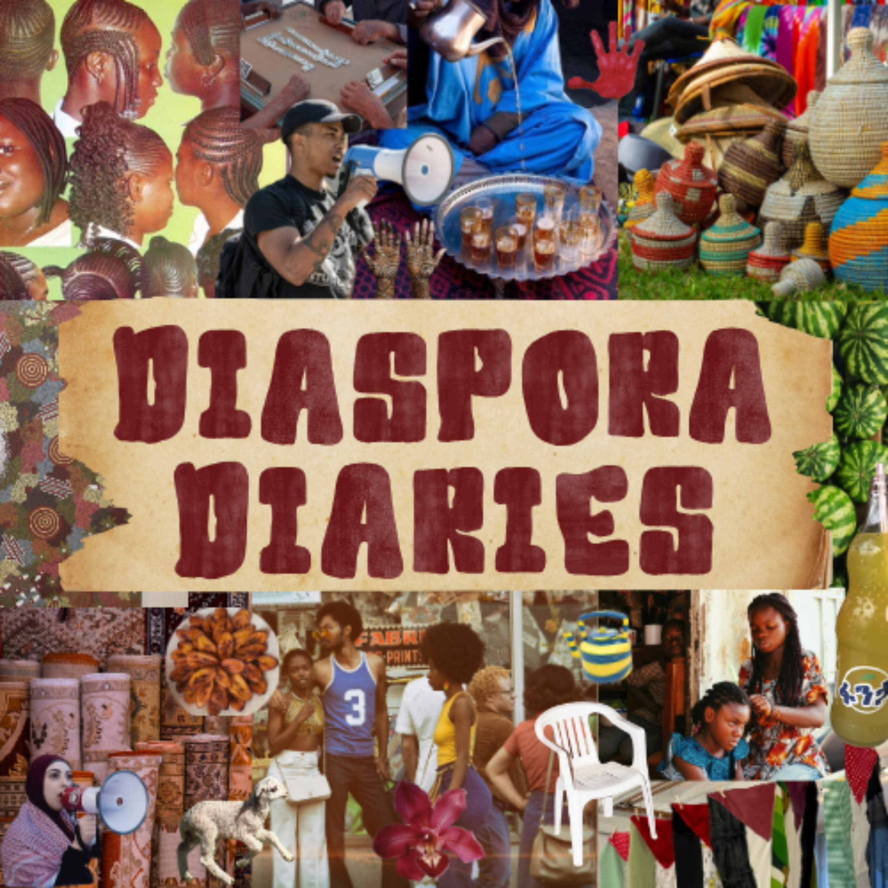 Diaspora Diaries