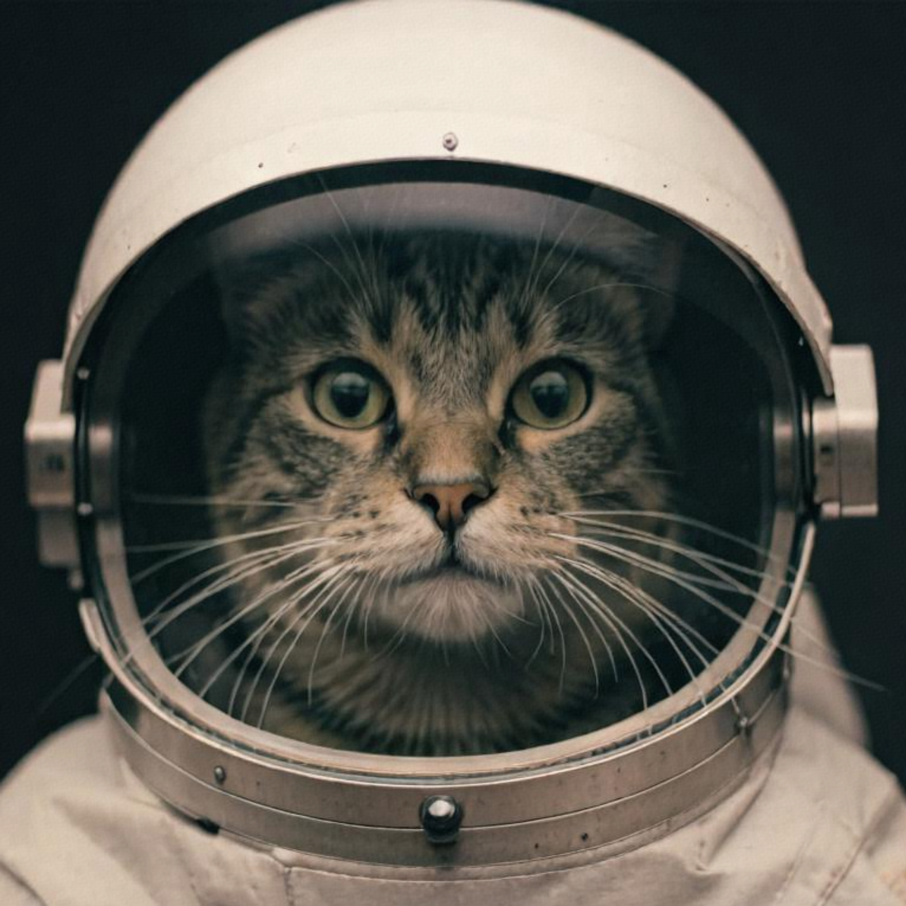 AI宇宙