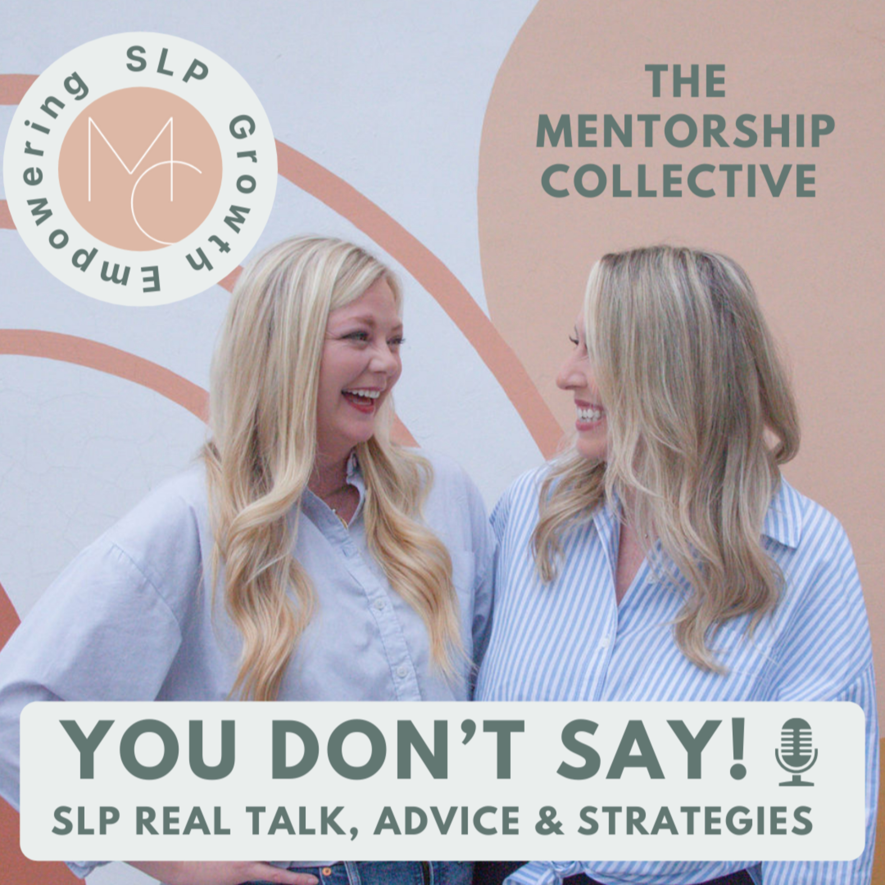 You Don't Say! SLP Real Talk, Advice and Strategies