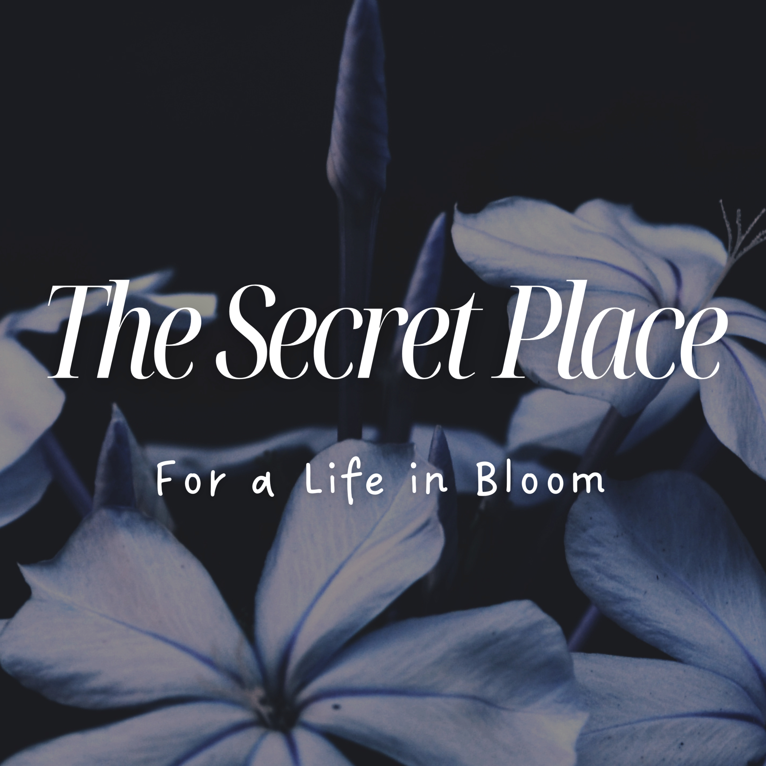 The Secret Place: For a Life in Bloom podcast artwork